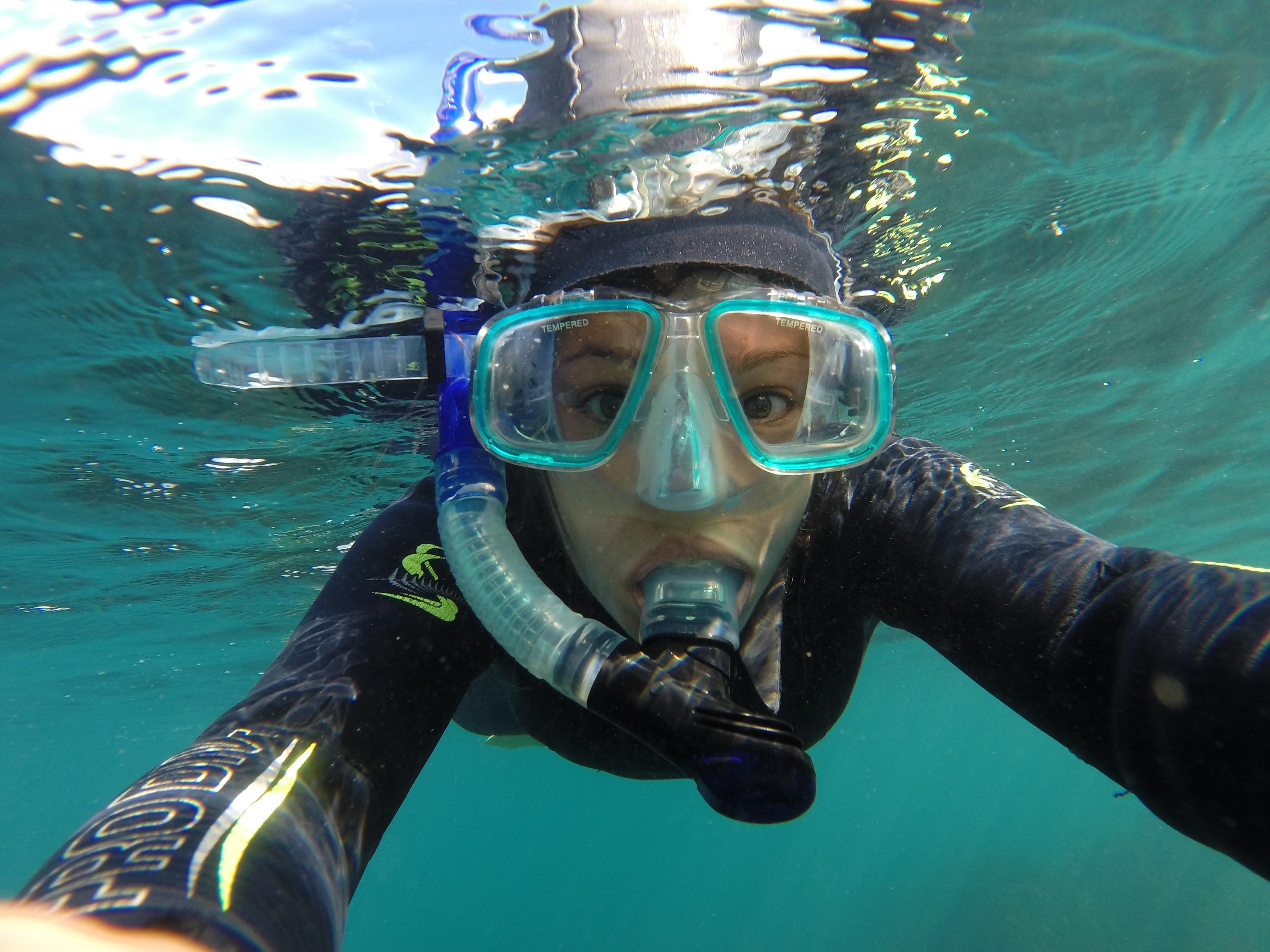Kaikōura: Snorkeling with New Zealand Fur Seals
