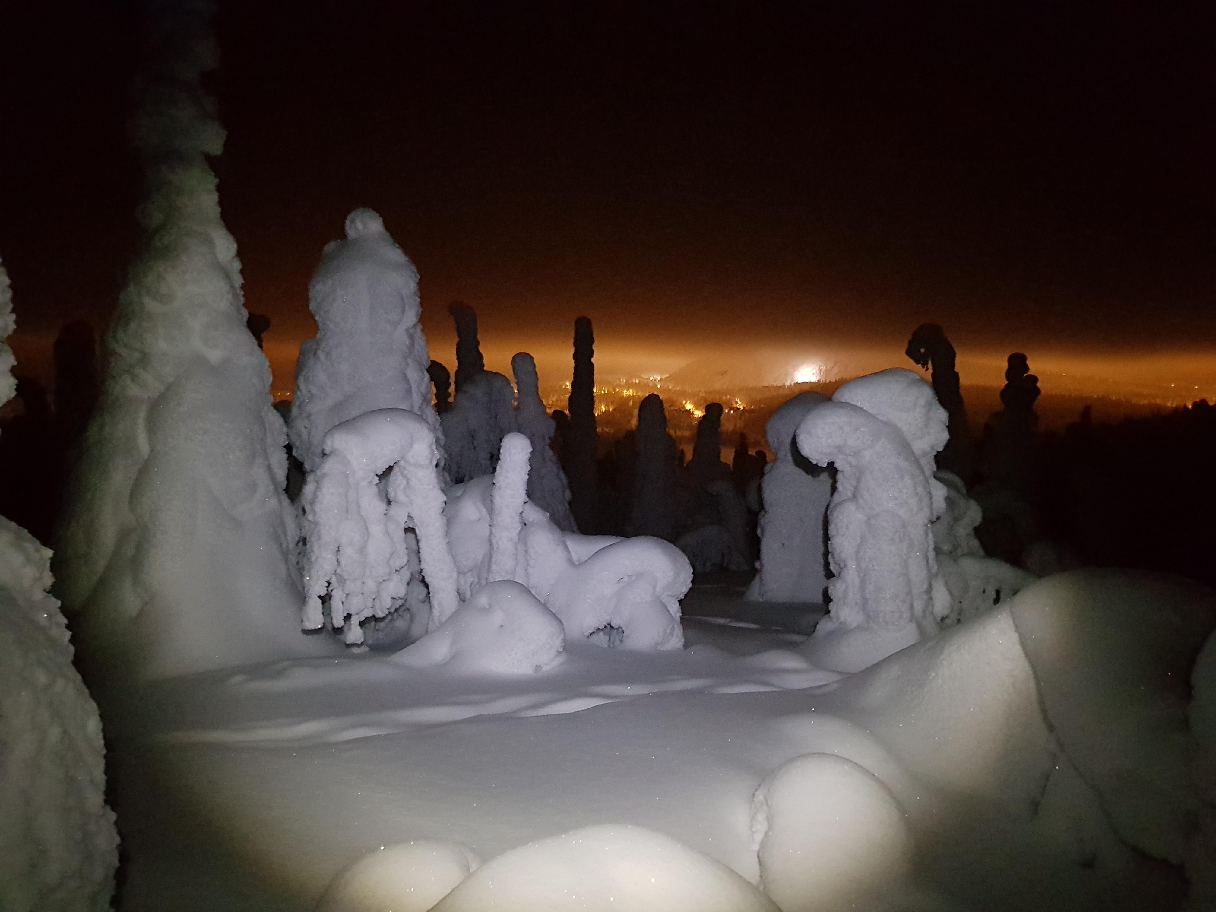 Arctic Night Snowshoeing in Valtavaara Nature Reserve