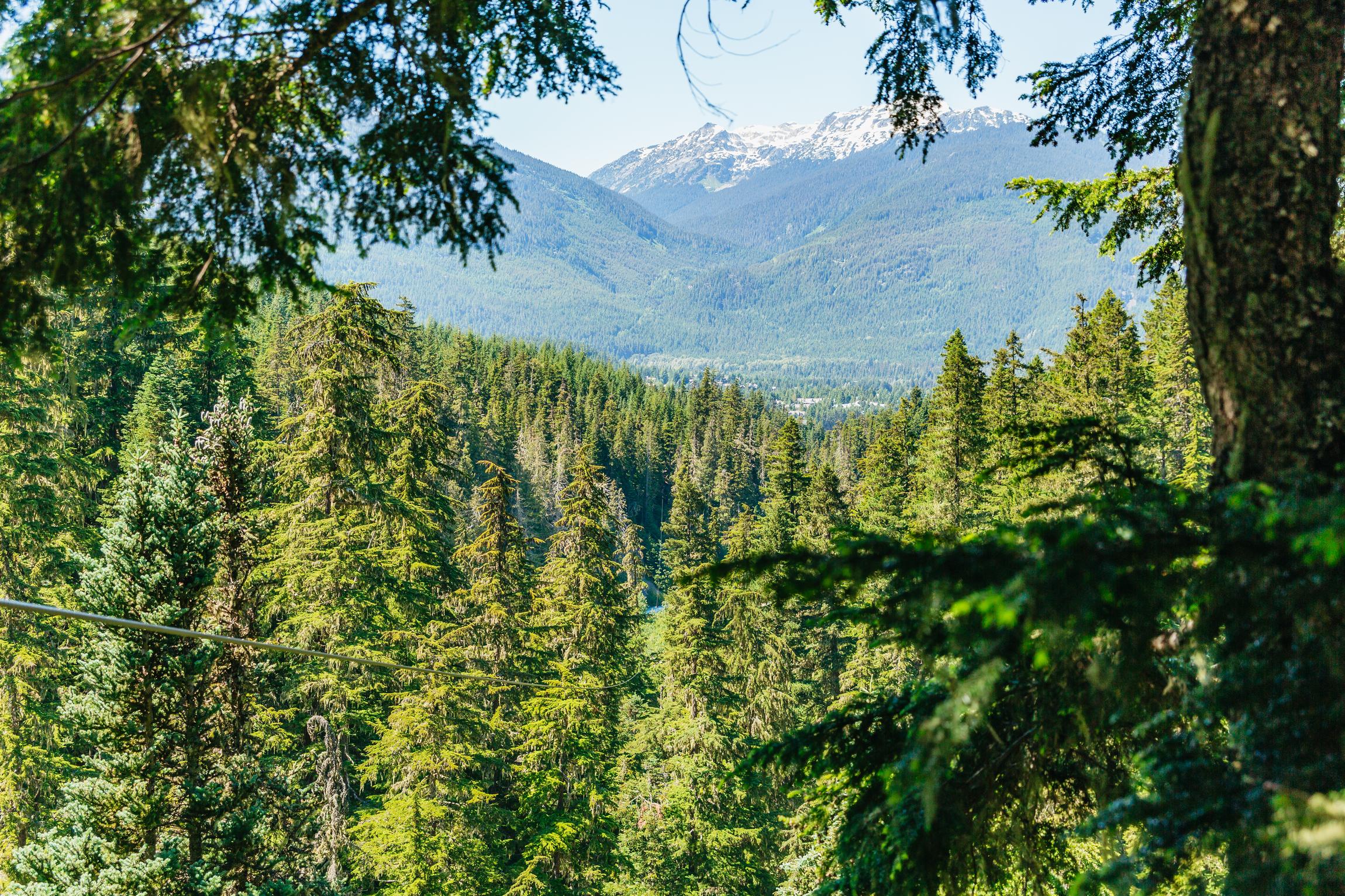 Whistler zipline experience with Ziptrek — flying across the Fitzsimmons Valley, British Columbia — image 14