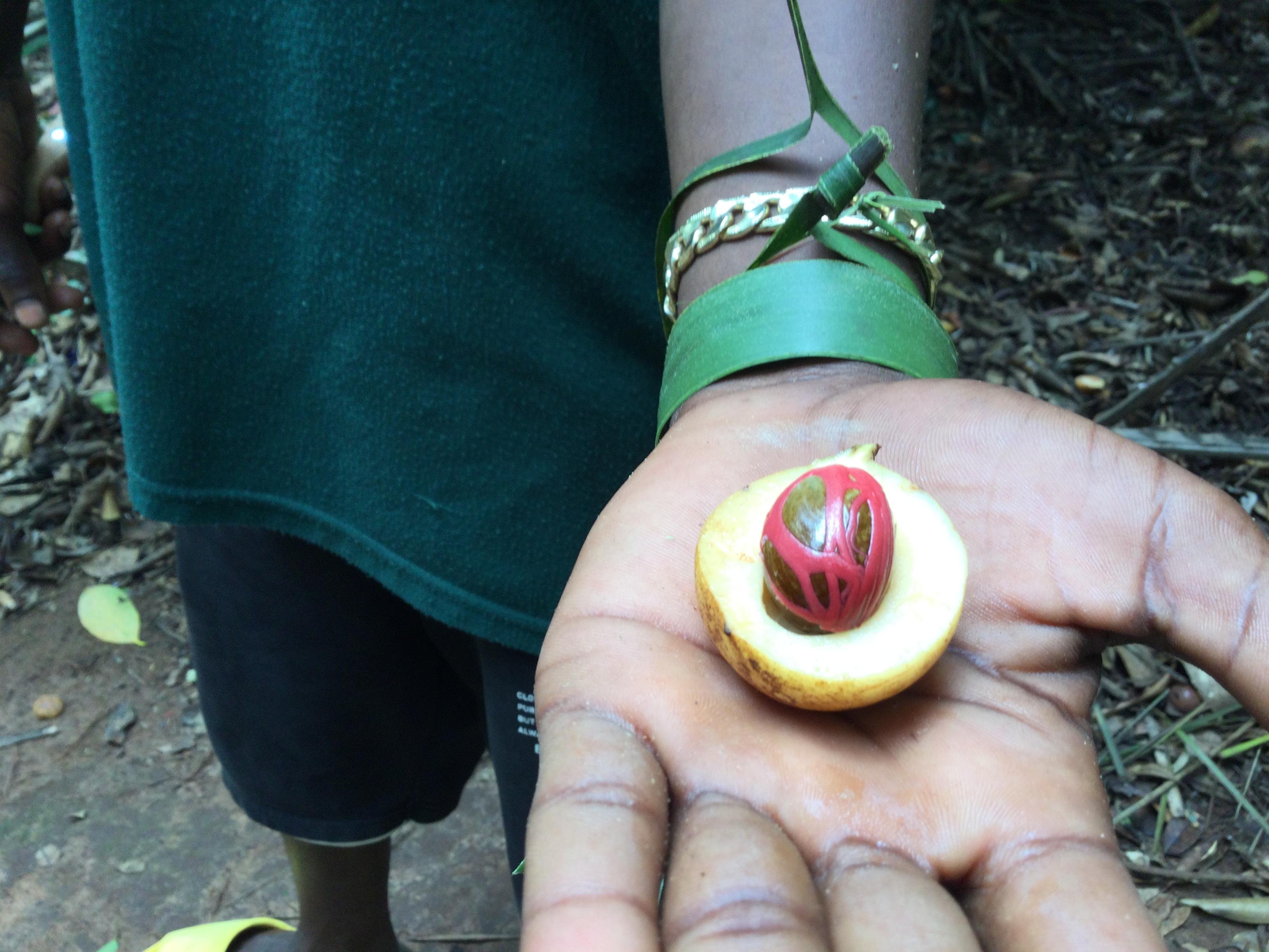 Zanzibar Spice Farm & Stone Town Private Day Tour with Swahili Lunch