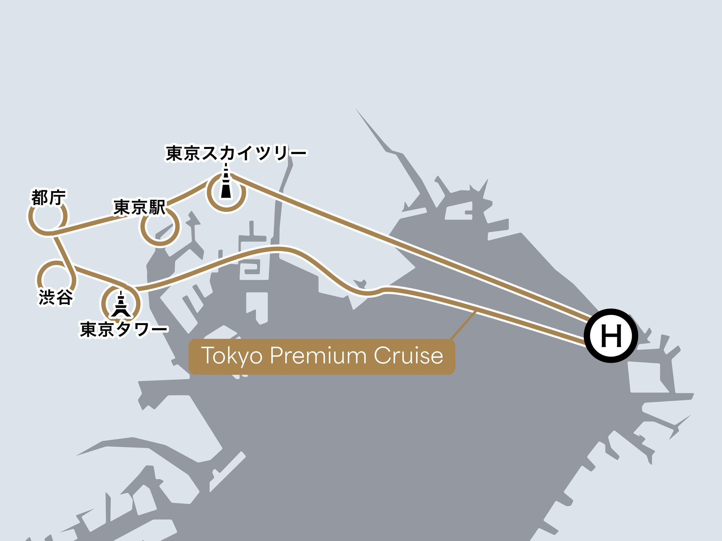 Tokyo night helicopter tour — image 9