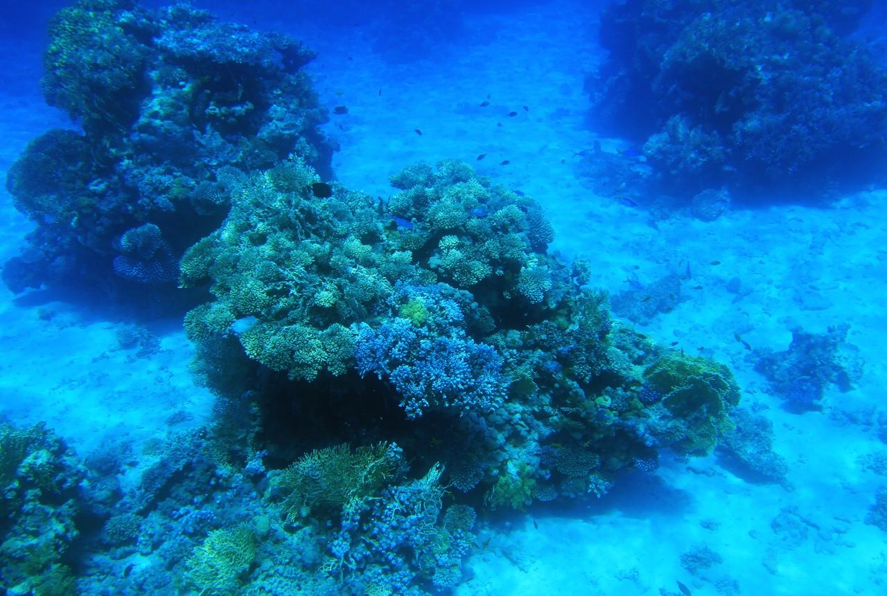 Sharm El-Sheikh: Colored Canyon, Blue Hole & Dahab Jeep Day Trip