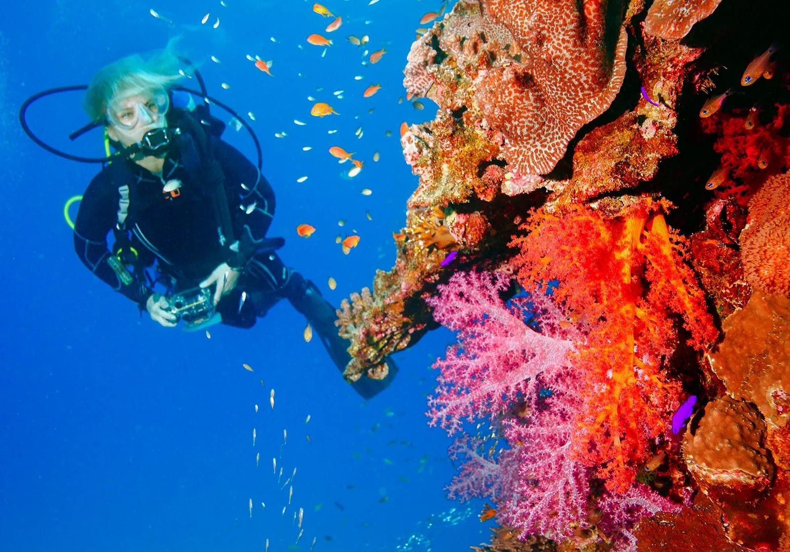 Punta Cana Reef Diving Adventure