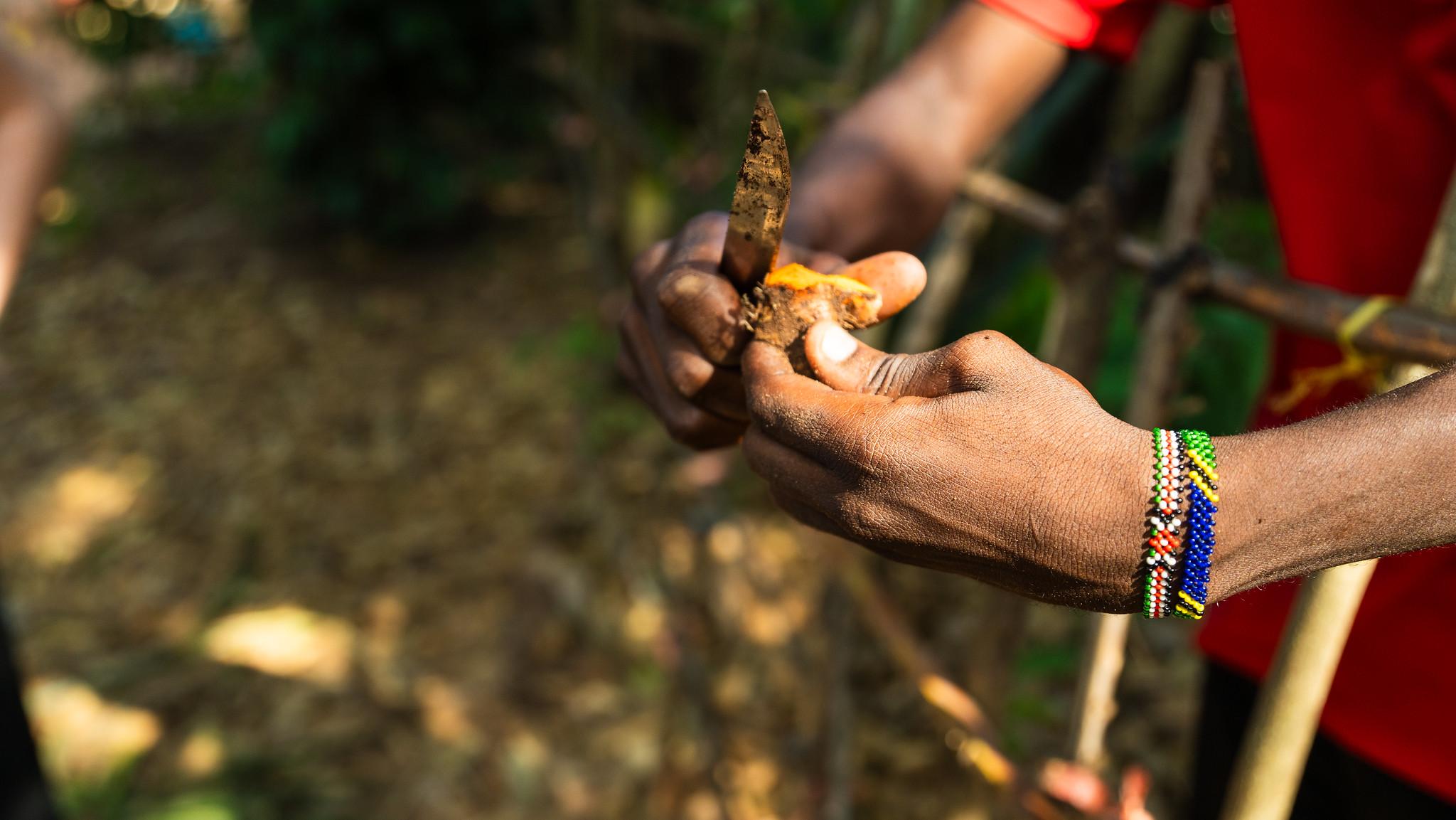 Zanzibar Full-Day Discovery: Stone Town, Spice Farm & Prison Island