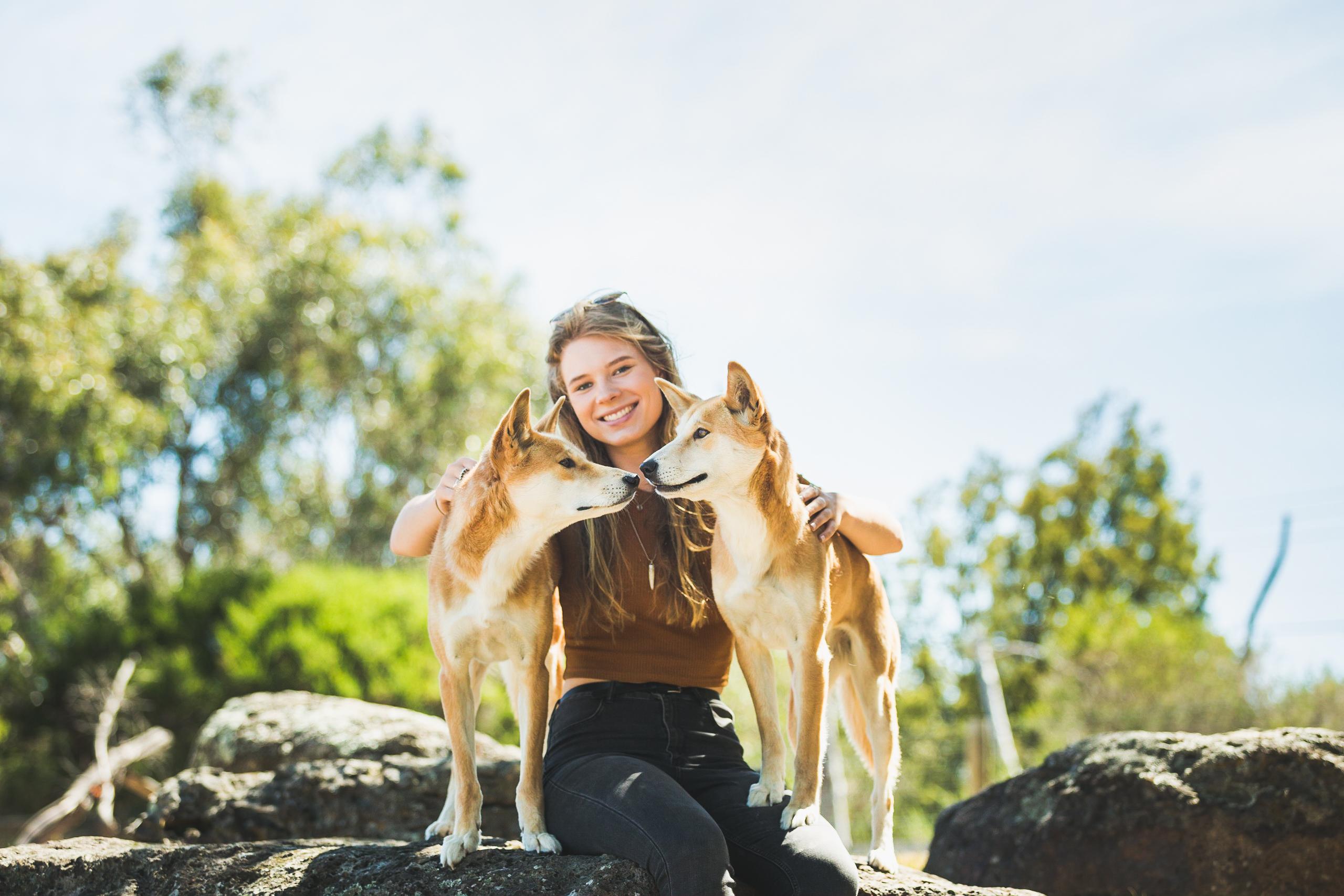 Phillip Island Wildlife & Penguin Parade Day Tour