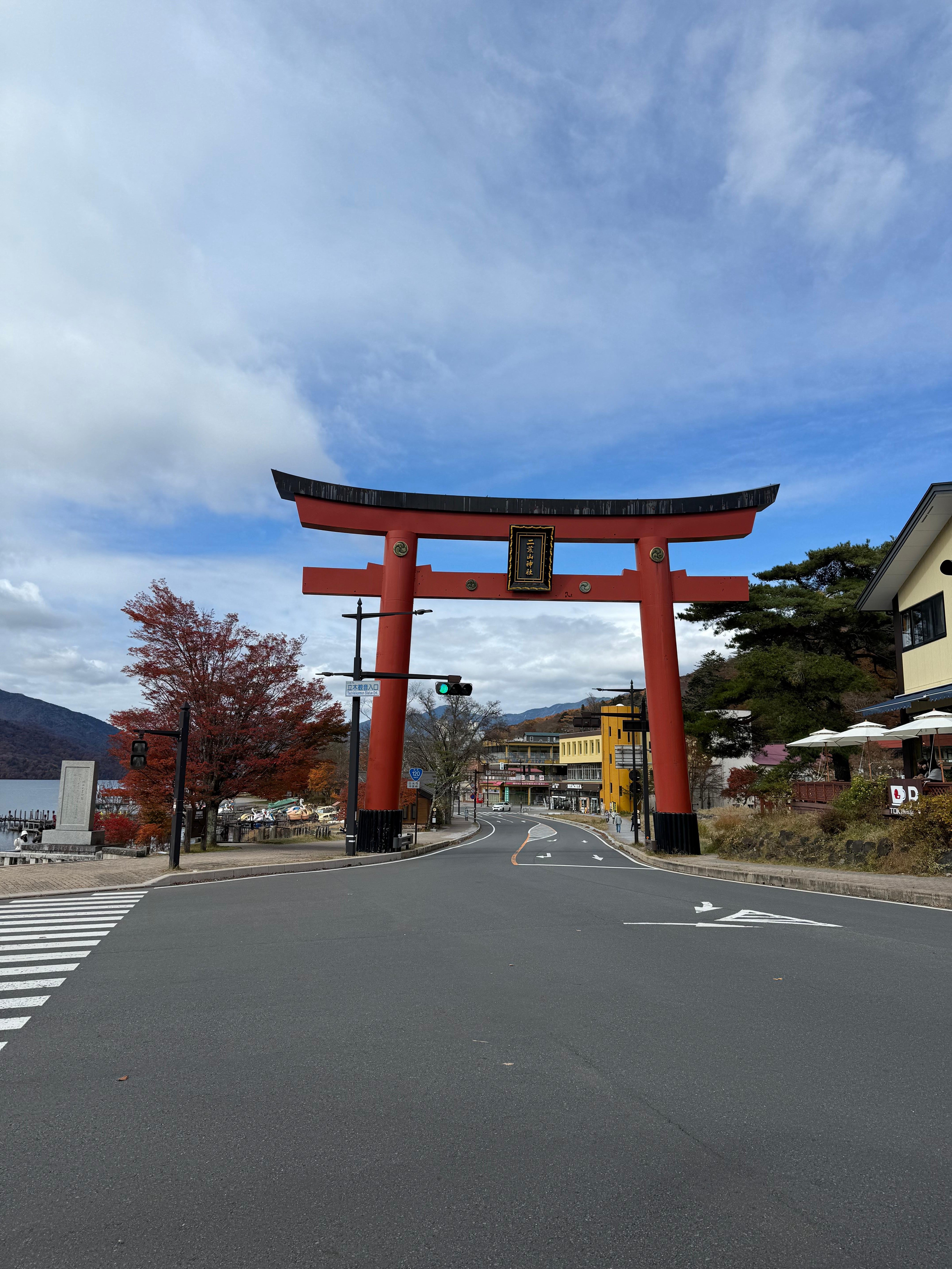Nikko Private Day Tour from Tokyo with English-Speaking Driver