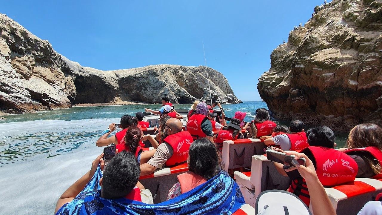 Excursión de un día a Paracas y Huacachina: vida silvestre, aventura en el desierto y cata de vinos
