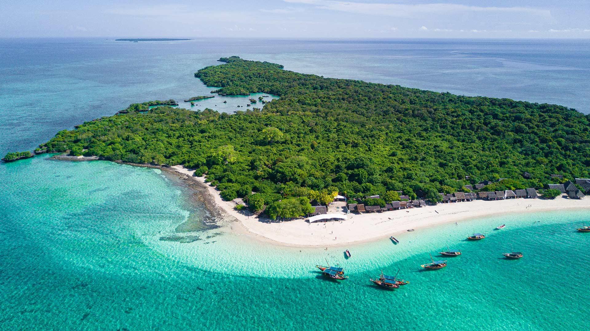 Zanzibar Safari Blue: Snorkeling, Sandbank & Seafood Day Trip