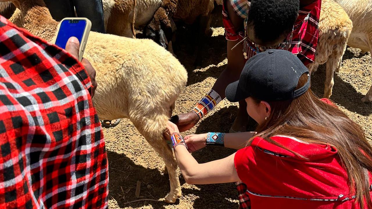 Authentic Maasai Village Day Tour from Nairobi