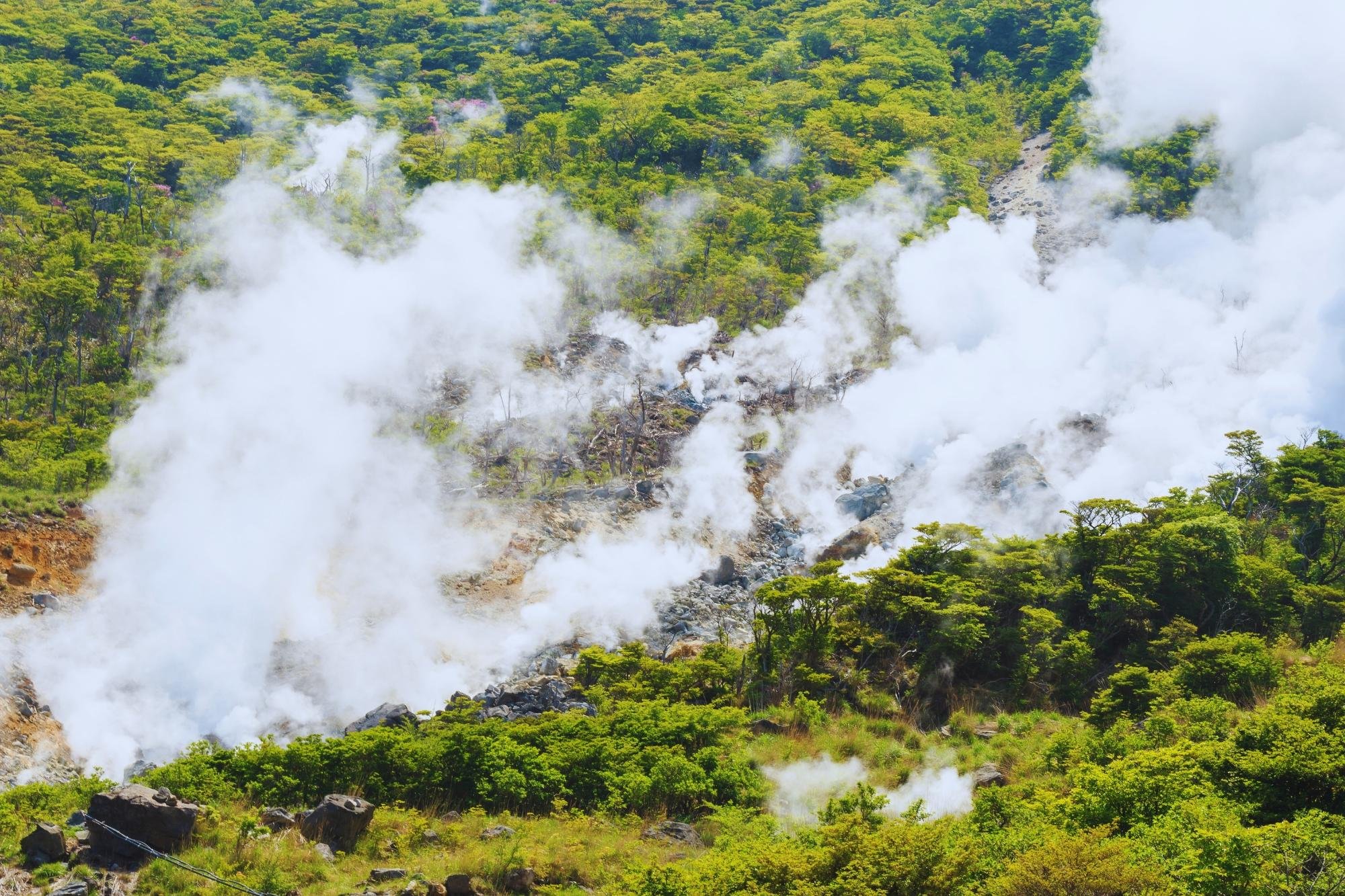 Mt. Fuji, Hakone & Arakura Pagoda Full-Day Tour from Tokyo