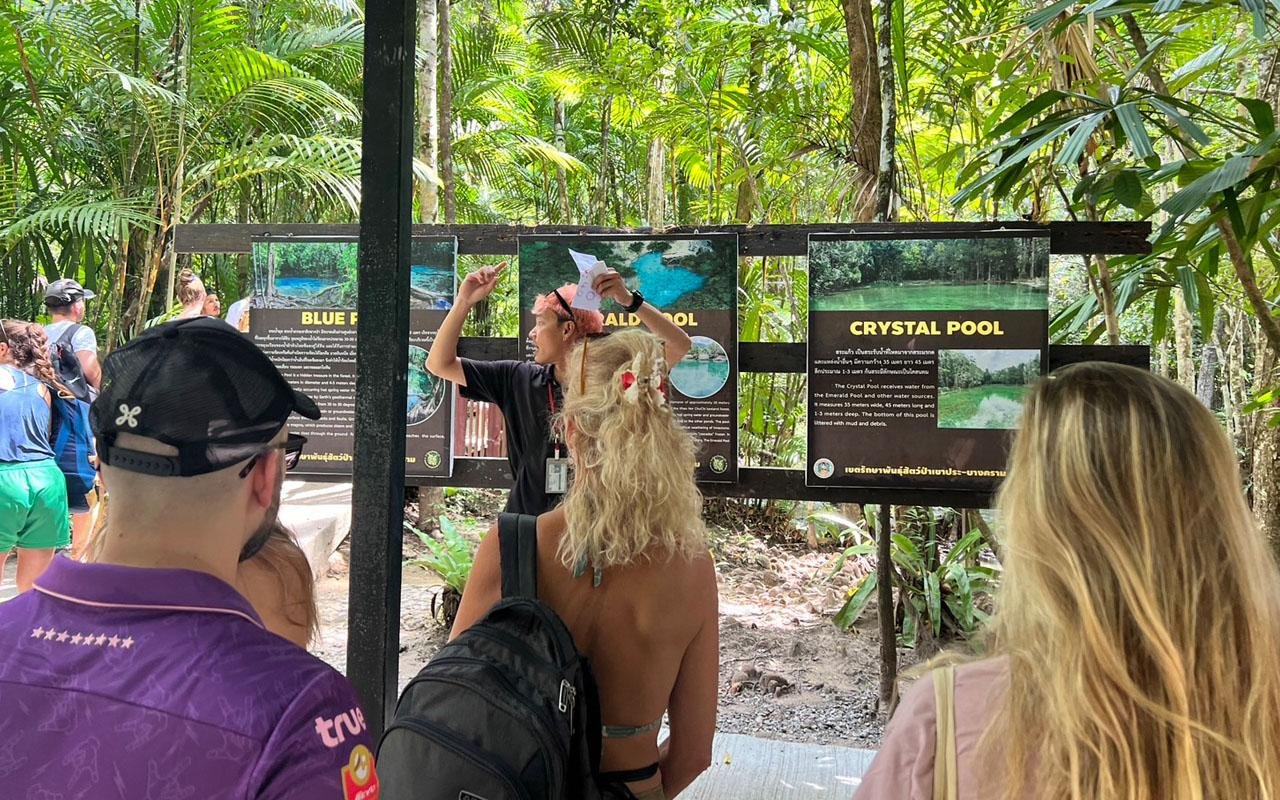 Krabi Jungle Day Tour: Hot Springs, Emerald Pool & Tiger Cave Temple
