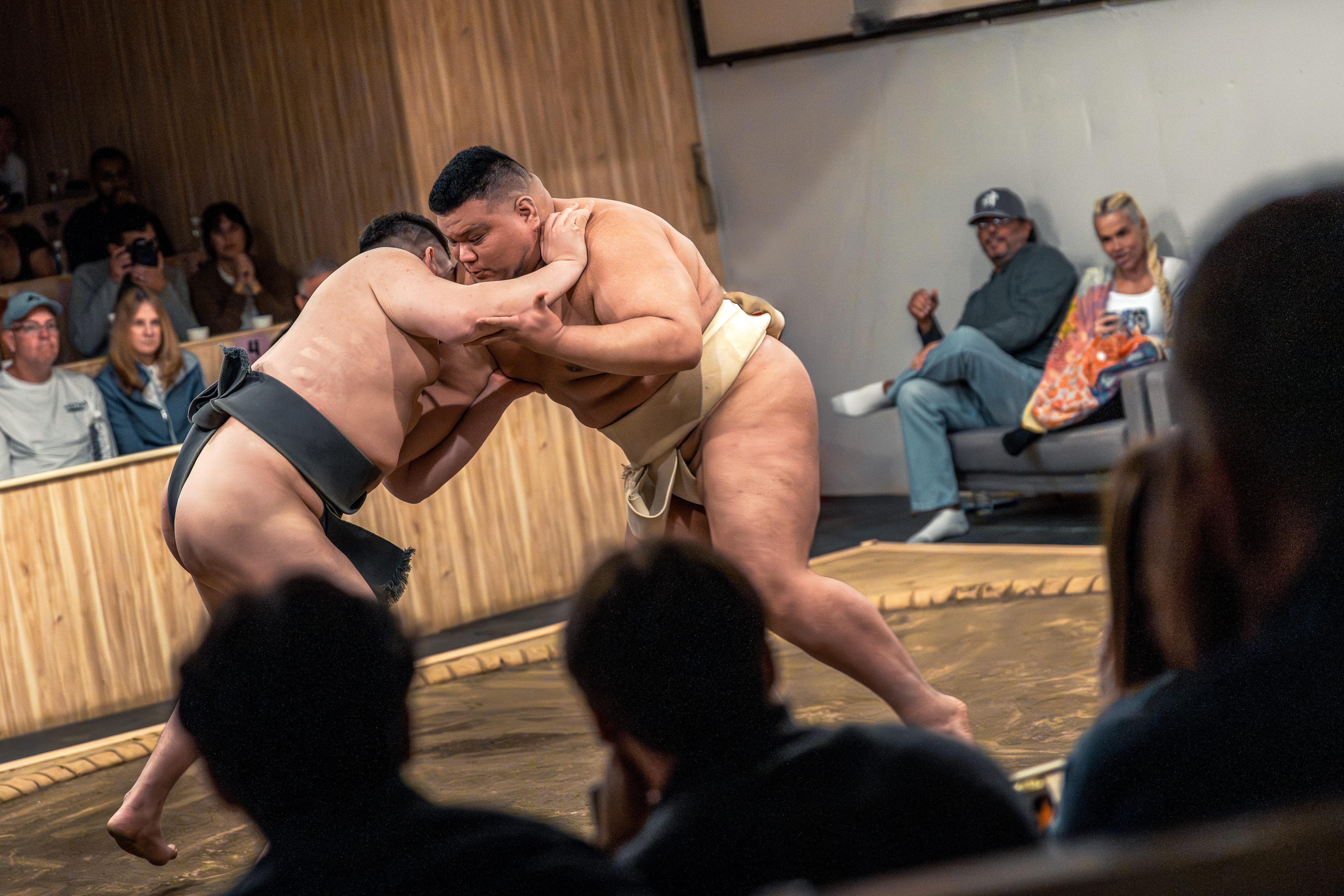 Shinjuku Sumo Show & Ring Challenge Experience