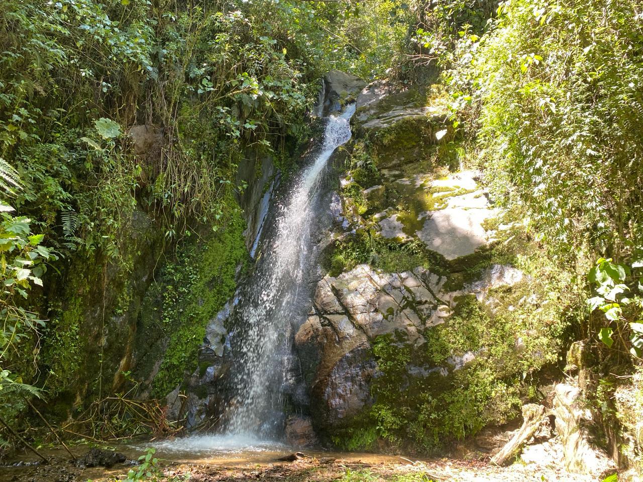 Papallacta Hot Springs & Forest Hike with Lunch from Quito