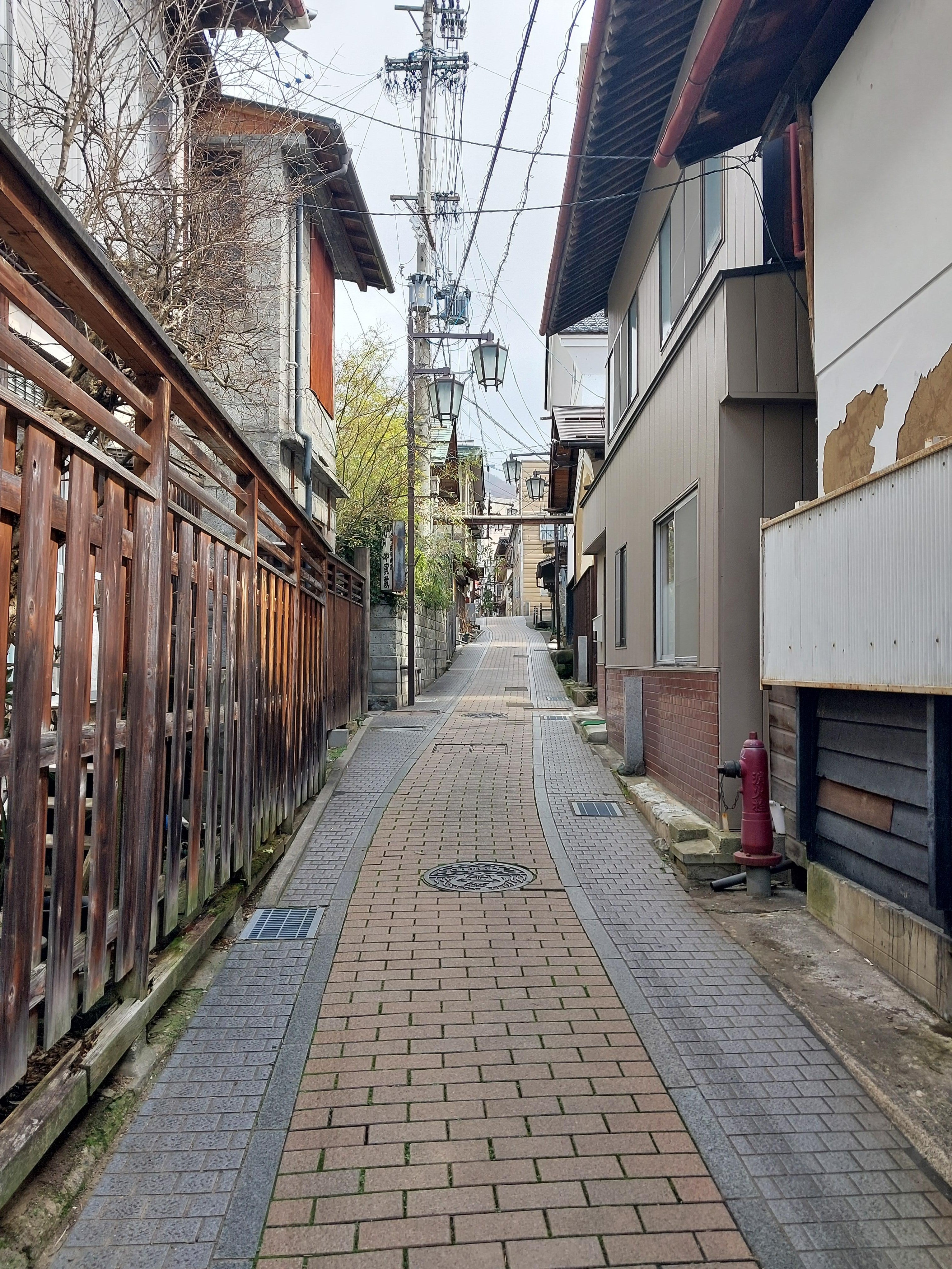 Nagano Snow Monkeys, Soba & Shibu Onsen Half-Day Tour