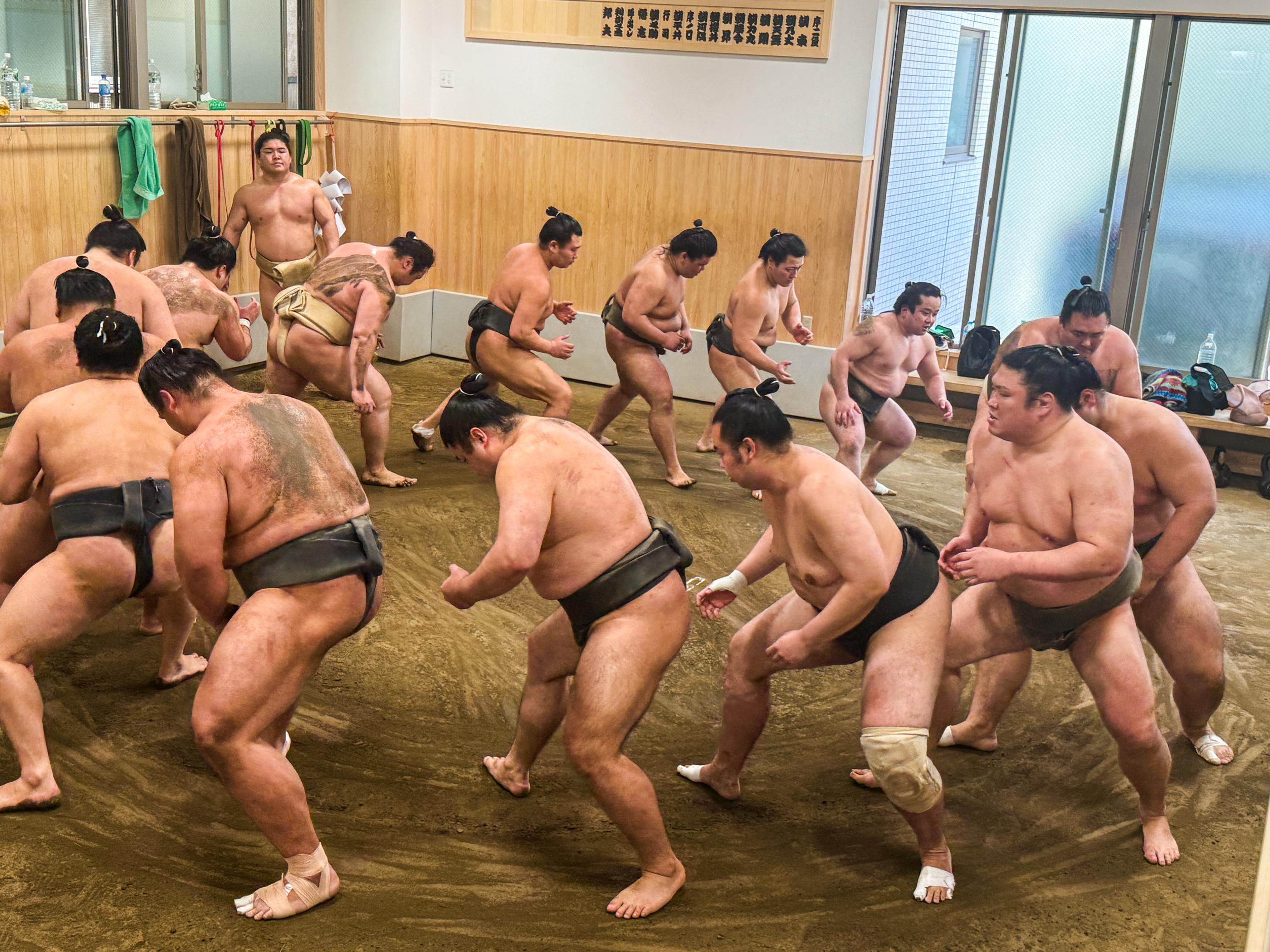 Tokyo: Not a show- a professional sumo practice with experts - 2026 (Verified Reviews)