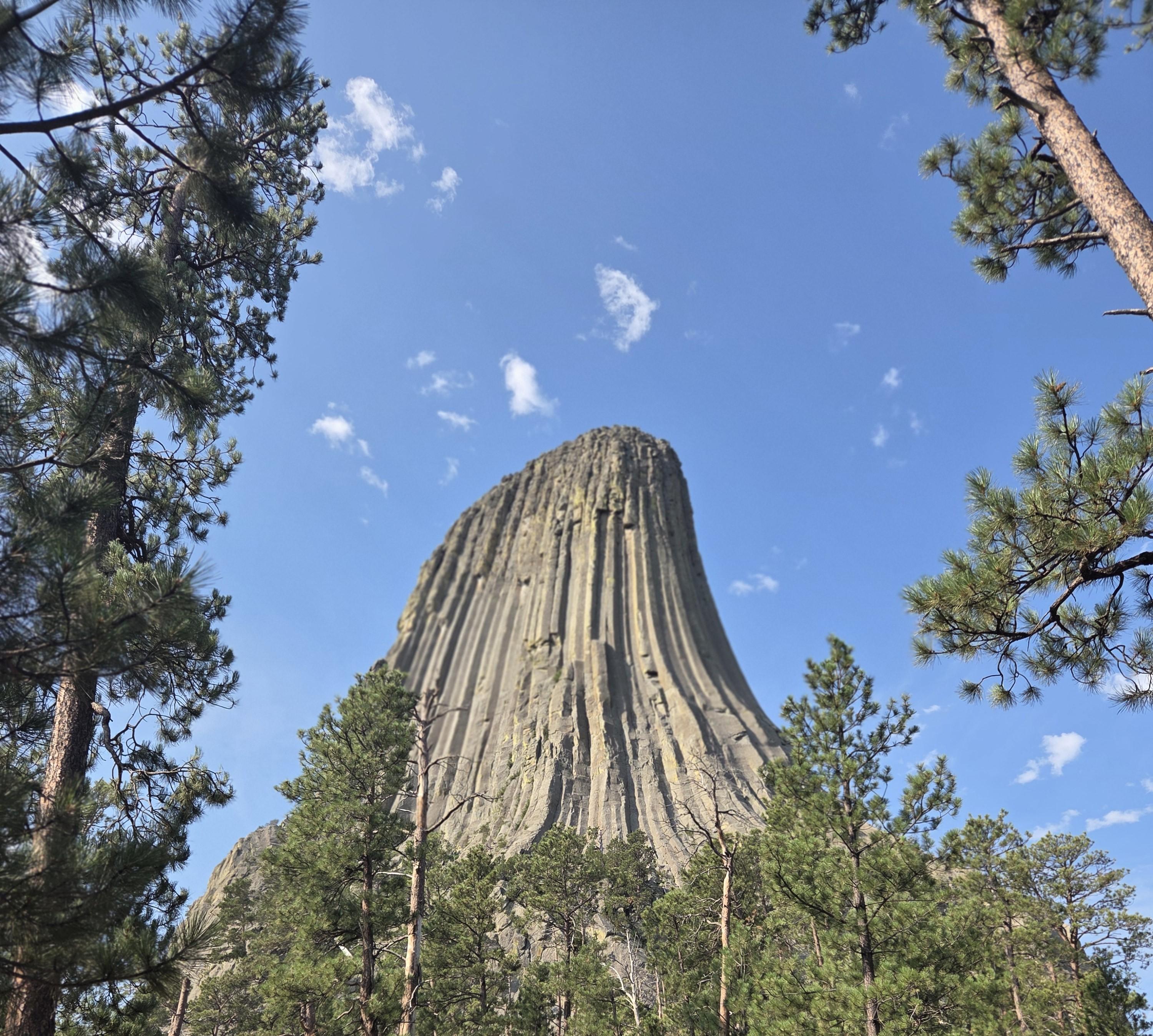 From Rapid City: Devils Tower National Monument Day Trip - 2026 (Verified Reviews)
