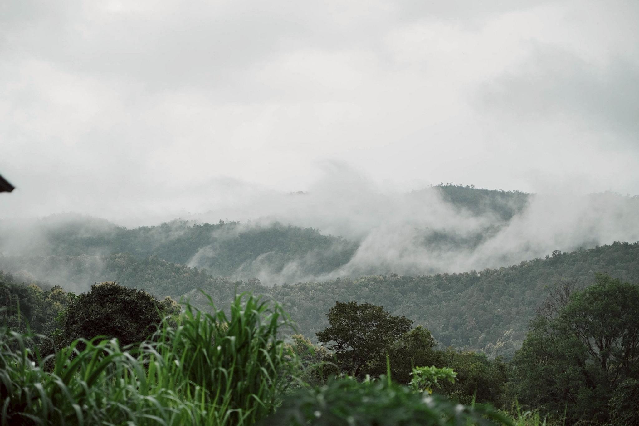 Elephant Sanctuary and Cooking Class — image 27
