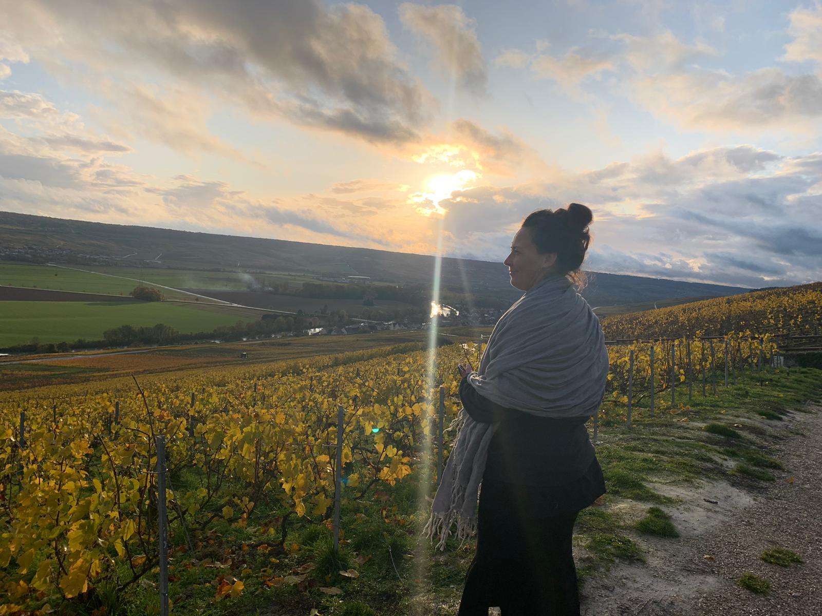 From Reims: Morning Champagne Tour and Tastings