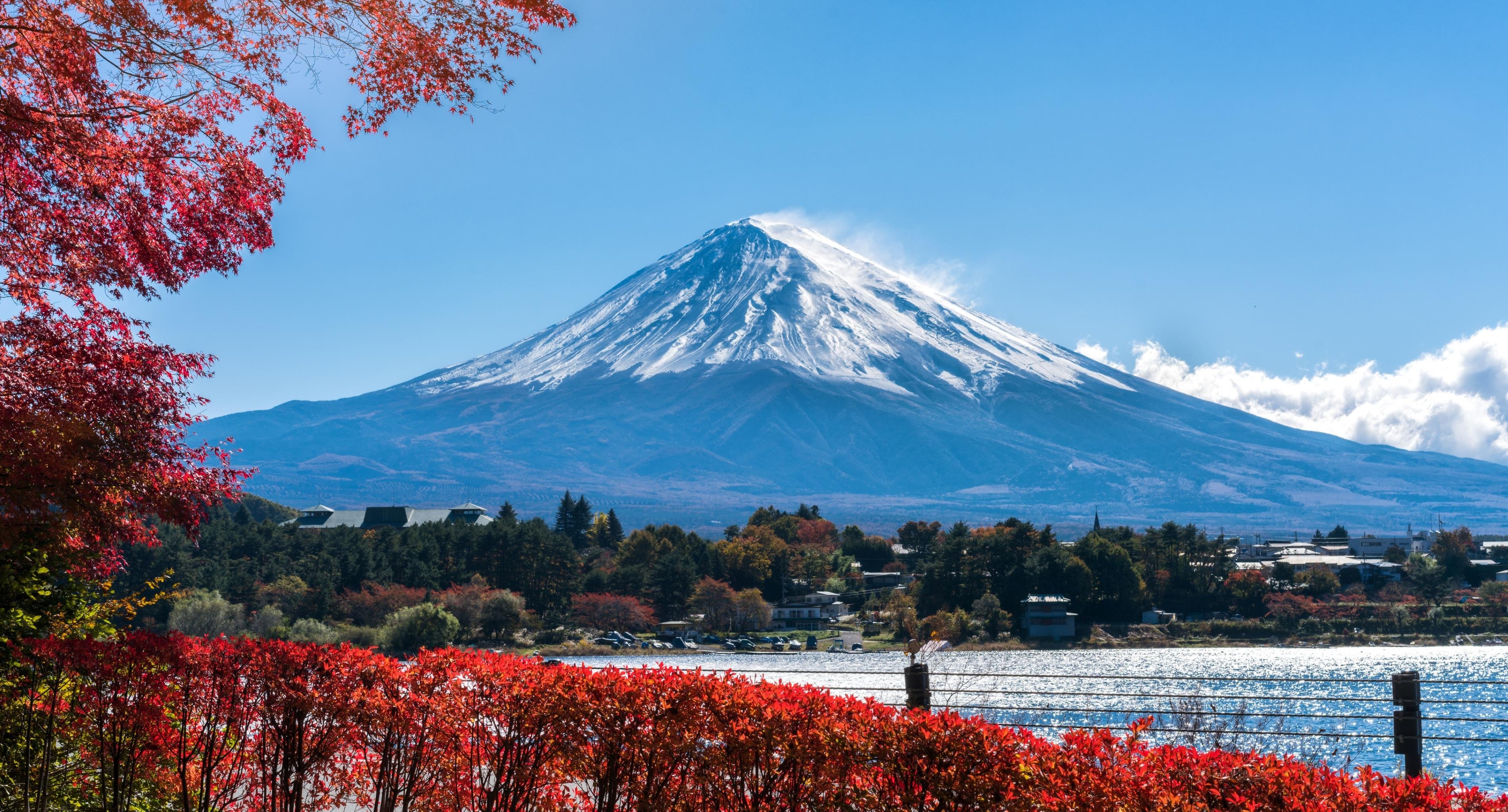 Mt. Fuji and Lake Kawaguchiko Day Tour from Tokyo