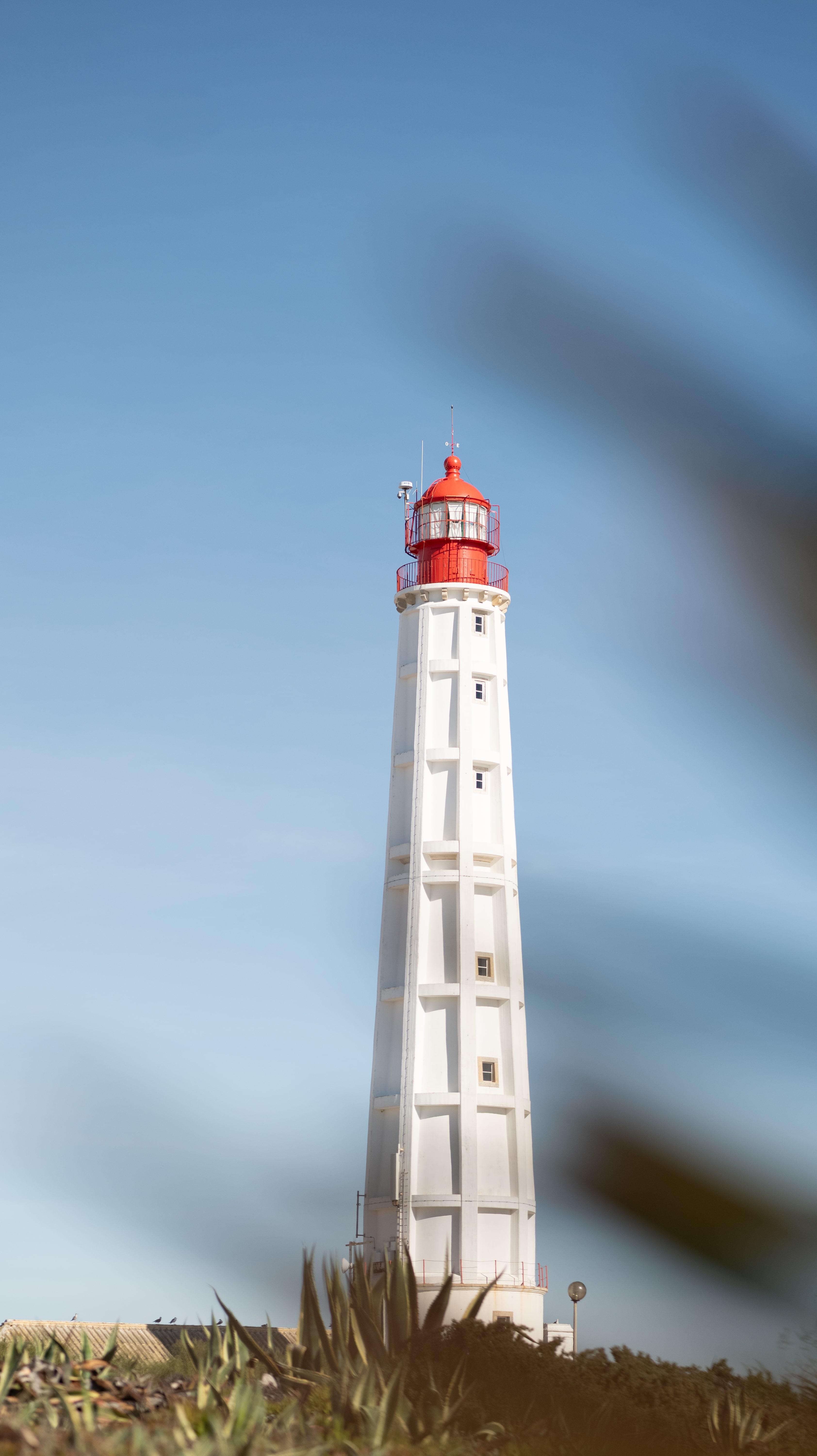 From Faro: Ria Formosa Hop-On Hop-Off 3 Islands Cruise