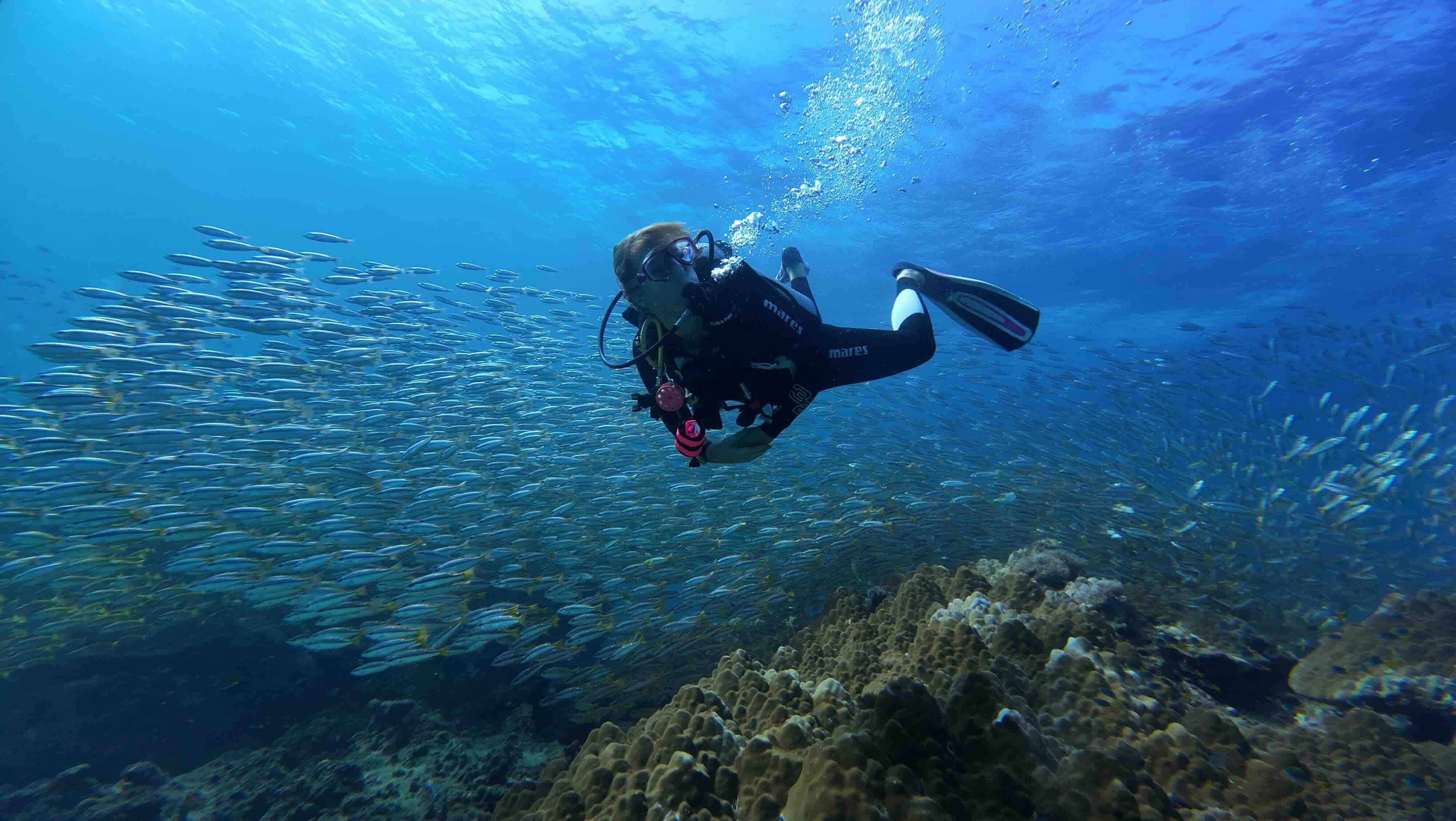 Koh Phi Phi Certified Diver Fun Dive Experience