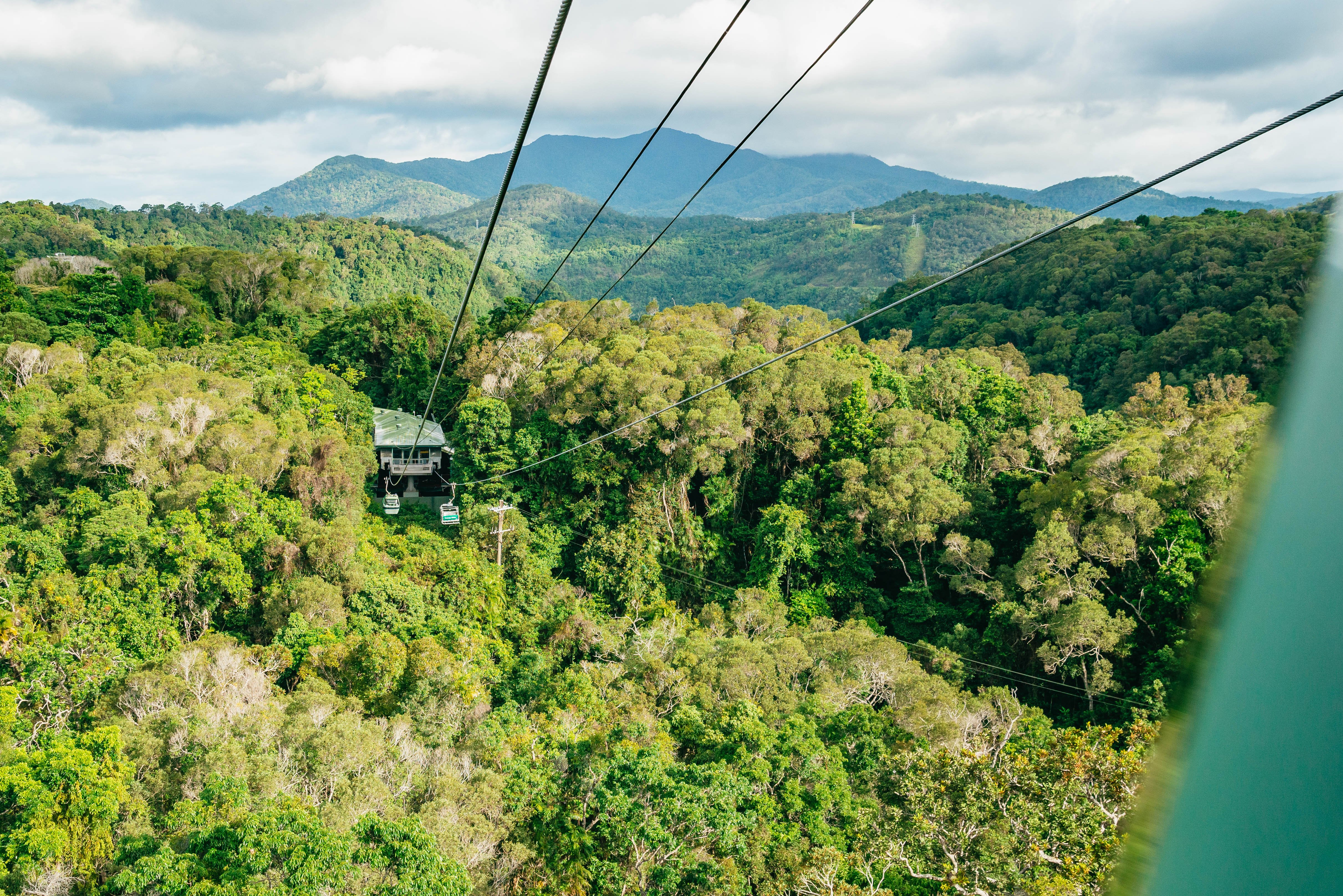 Kuranda Rainforest Full-Day Experience from Cairns