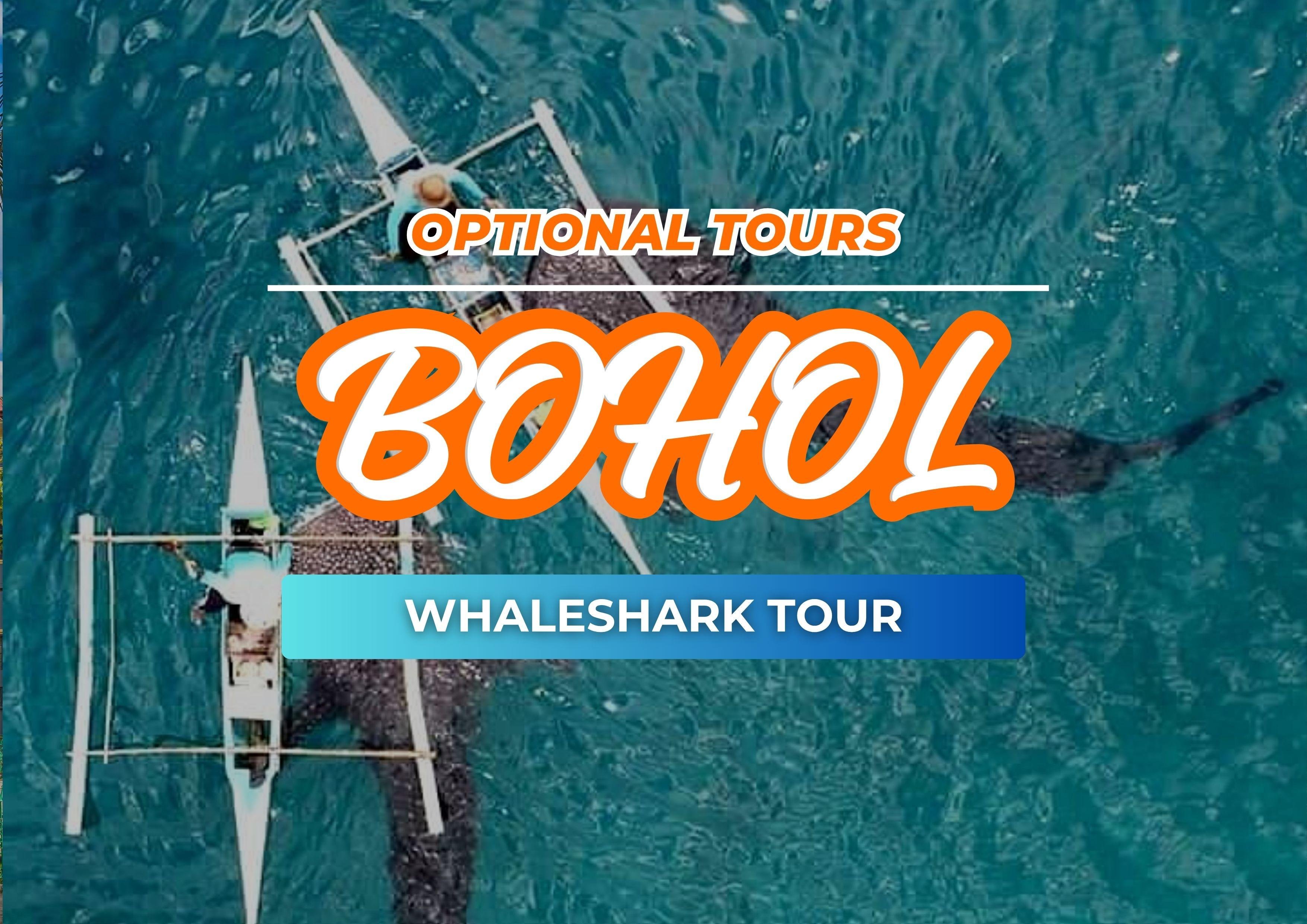 Balicasag Island Dolphin Encounter & Snorkel Safari