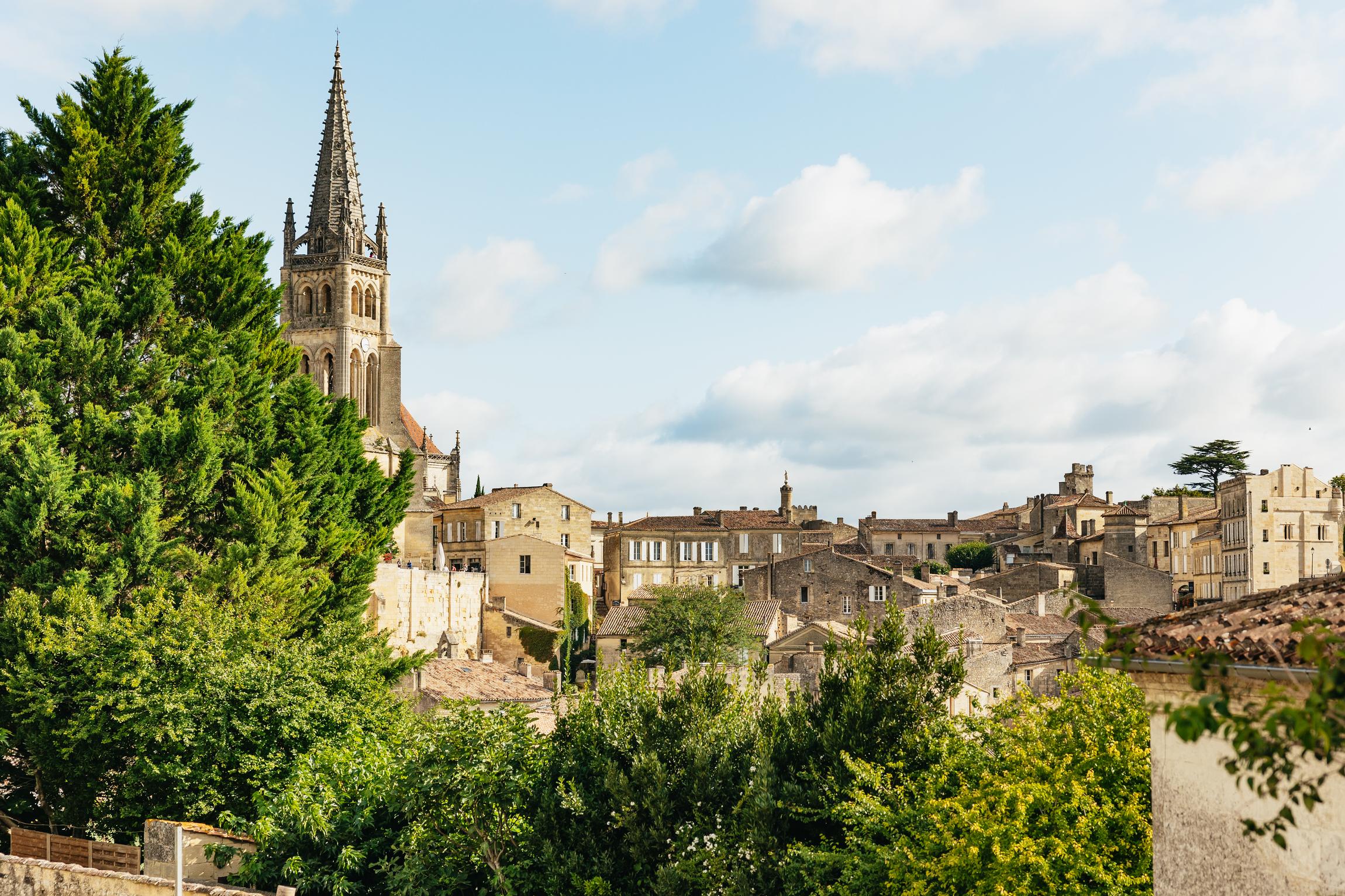 wine tour in Saint-Émilion — From Bordeaux: Half-Day Saint-Émilion Tour and Wine Tasting - 2026 (Verified Reviews)