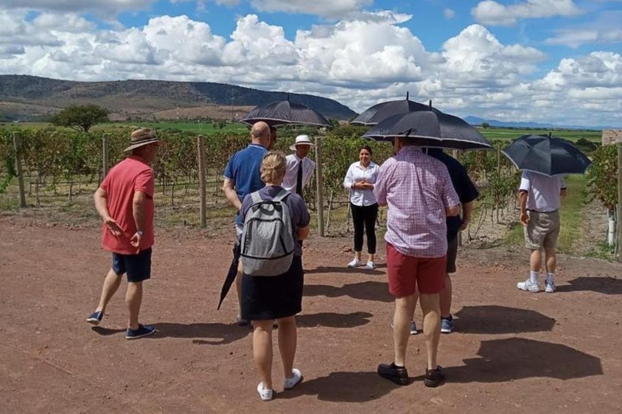 wine tour in San Miguel de Allende — photo 1