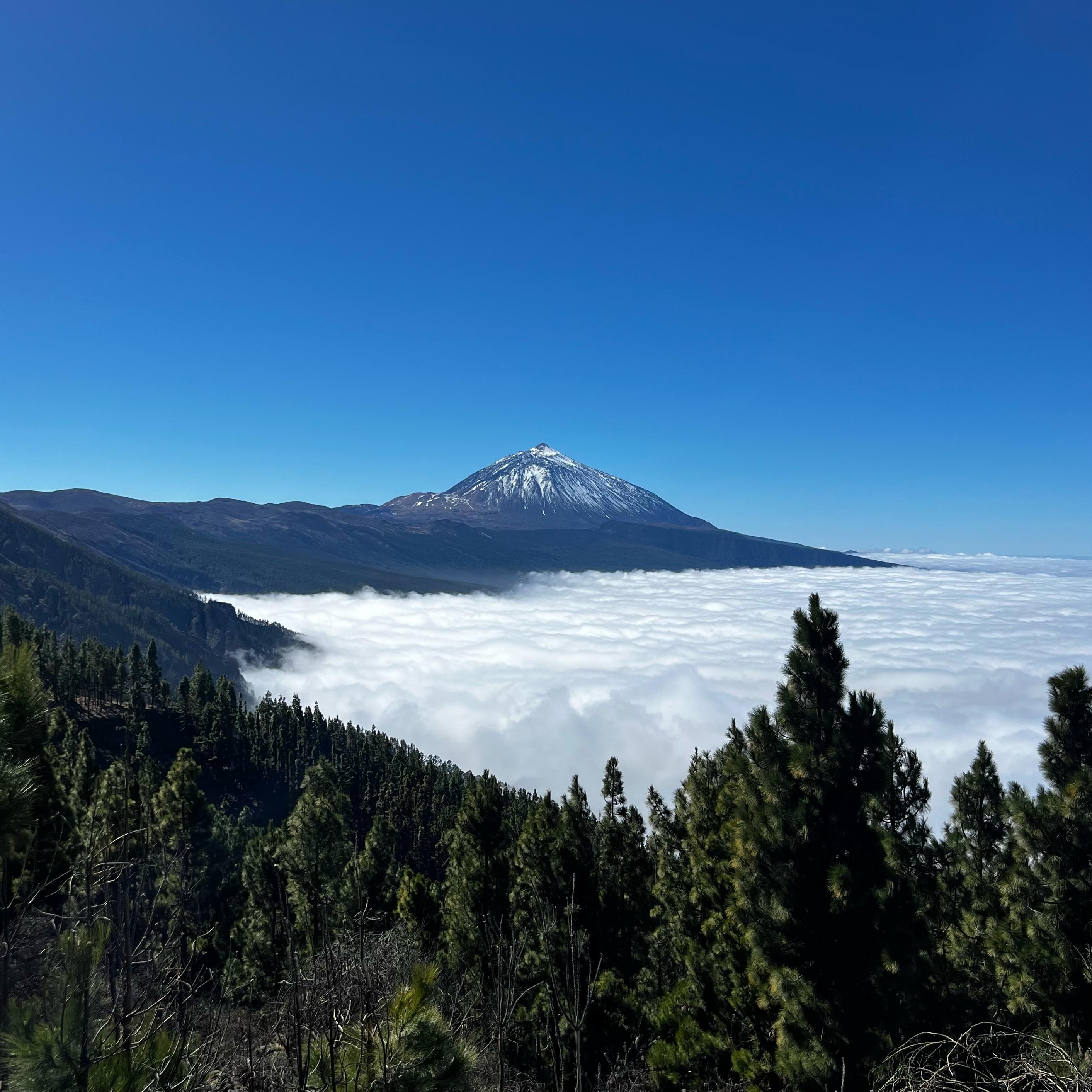 Mount Teide & Northern Tenerife Private Car Tour
