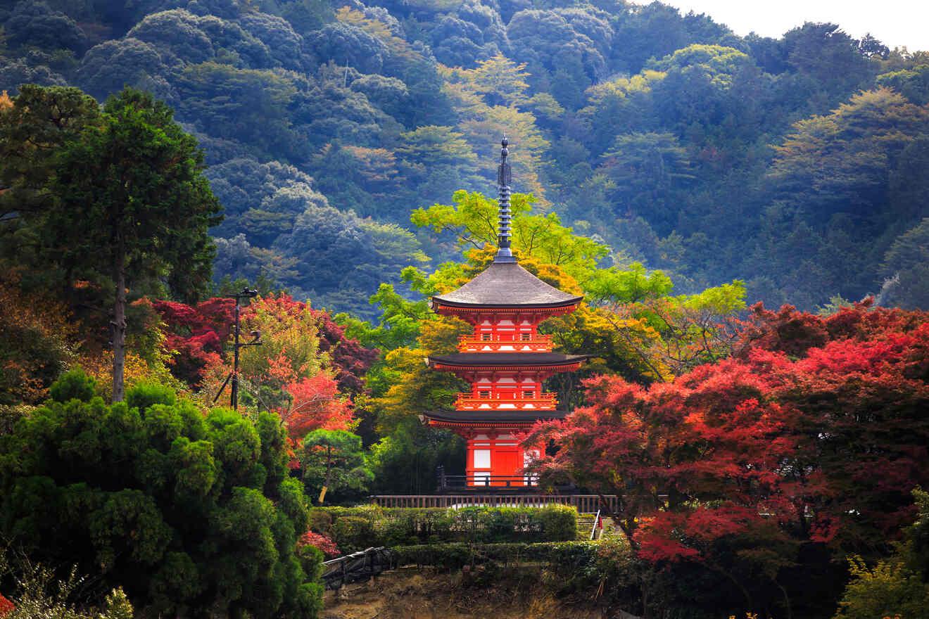 Kyoto Private Full-Day Tour with Luxury Vehicle & Expert Guide