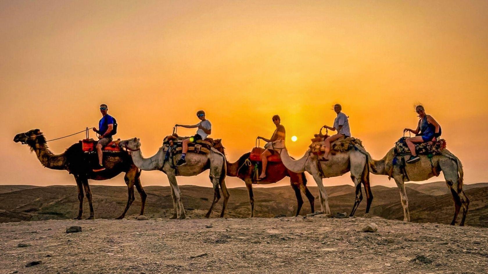 Agafay Desert Evening: Quad, Camel Ride & Dinner Under the Stars