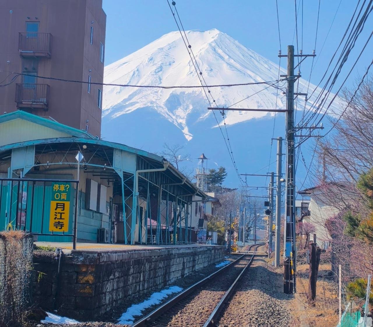 Mt. Fuji Seasonal Discovery: Fruit Picking & Scenic Train Day Tour