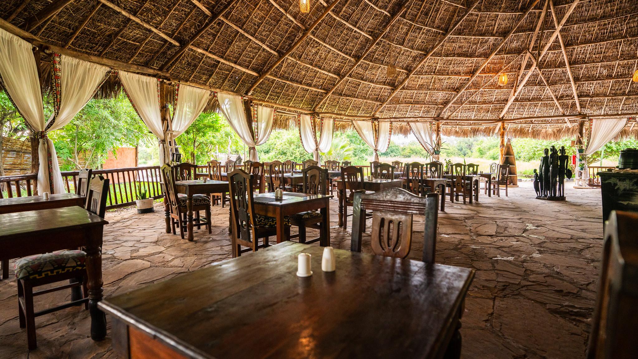 Zanzibar to Selous: 2-Day Safari with Flights & Bush Lunch
