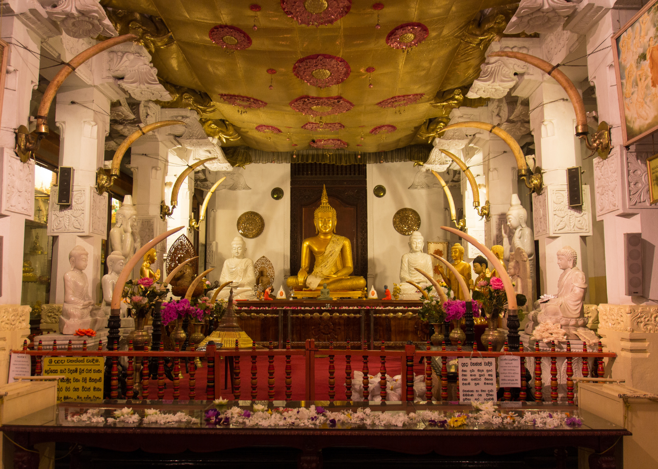 Kandy Heritage & Tea Country Day Trip from Bentota