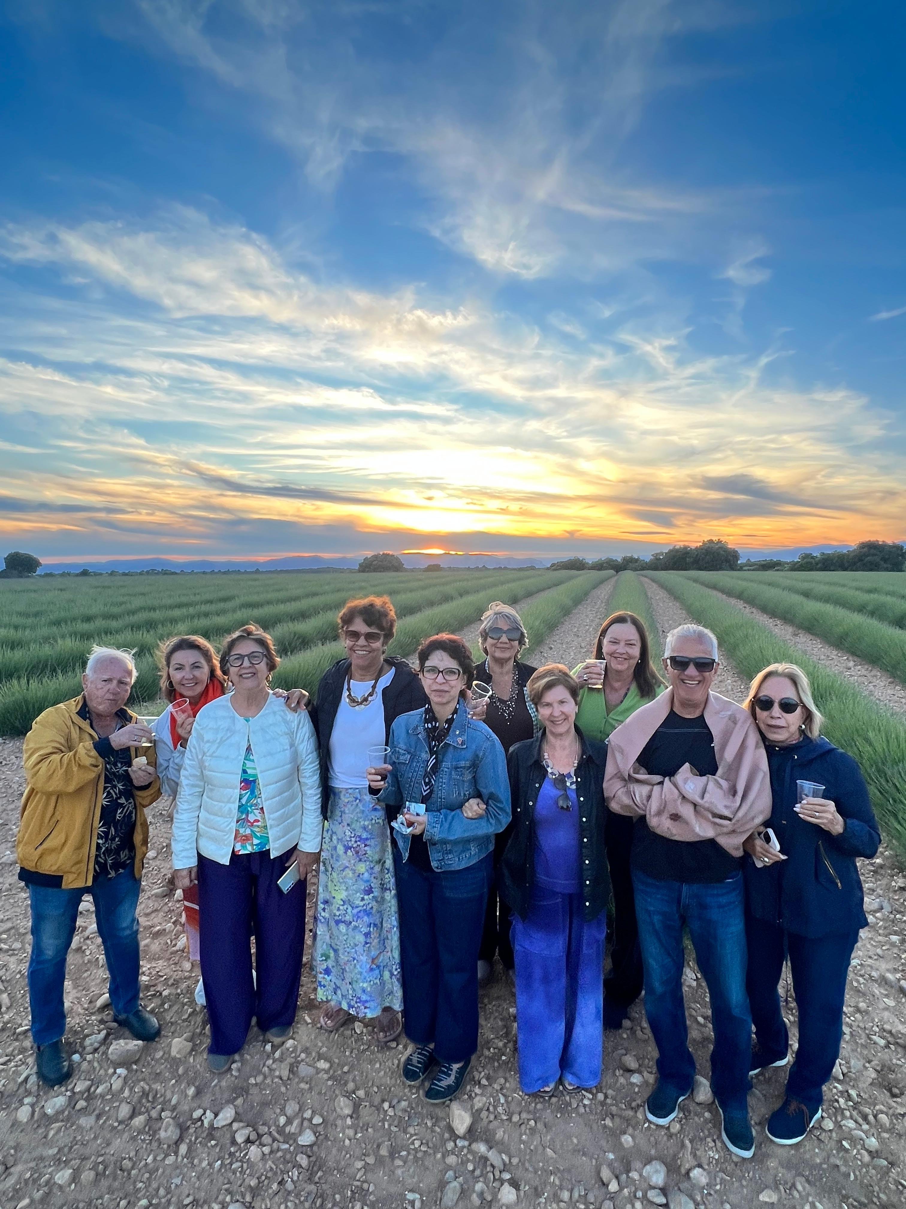 Valensole lavender fields in Provence — guided lavender tour photo 27