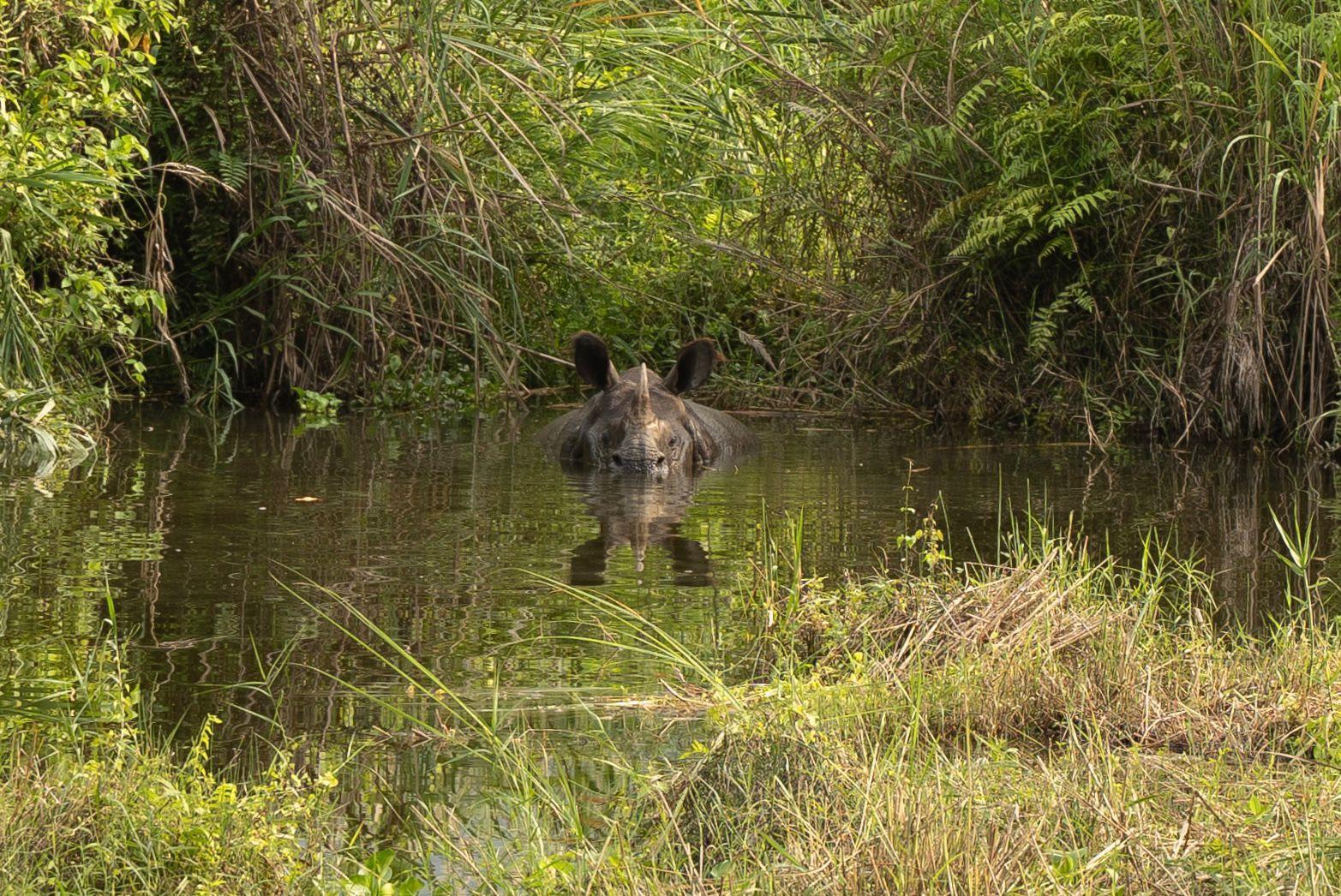 Chitwan National Park 3-Day All-Inclusive Safari Adventure