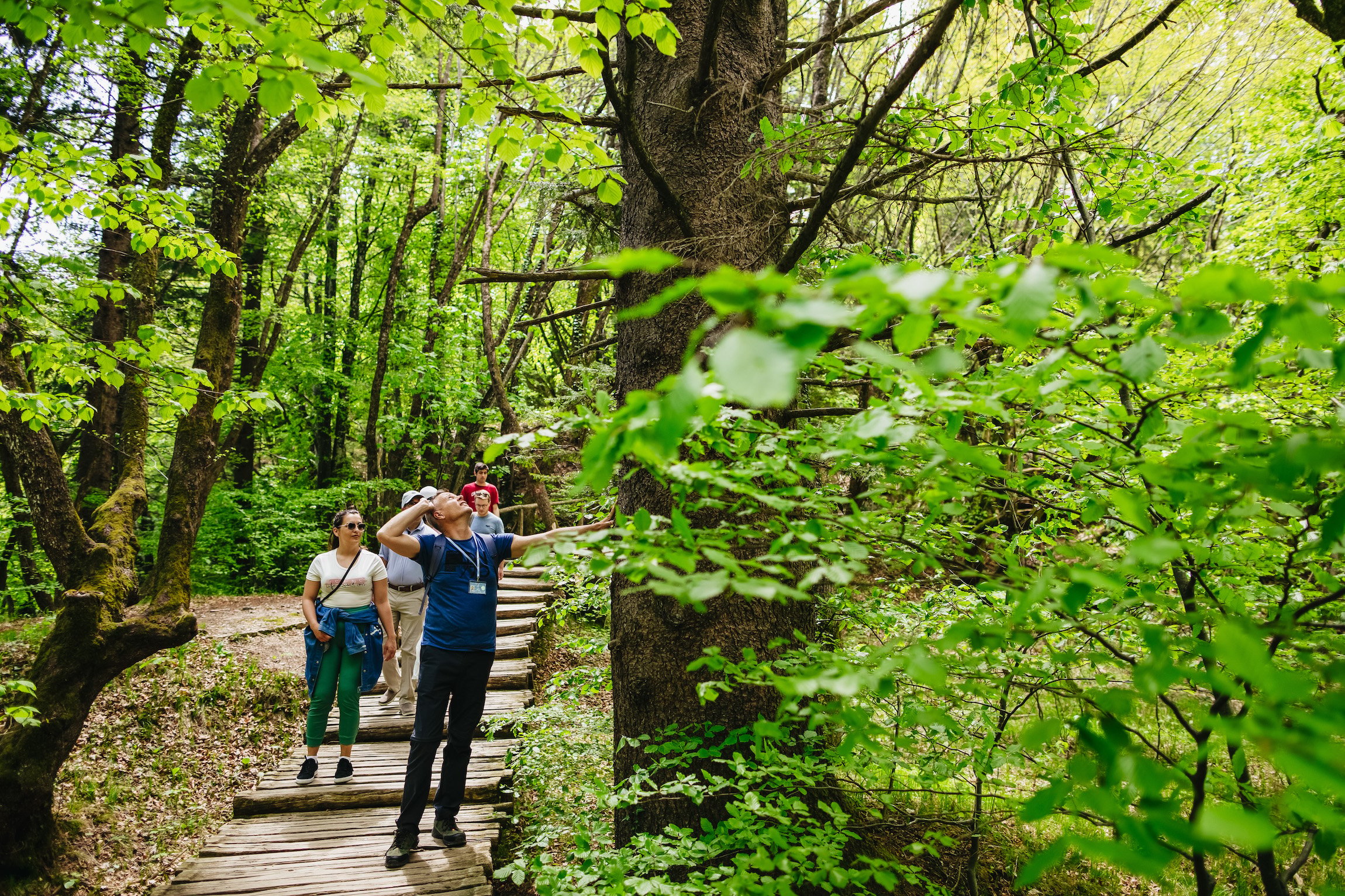 Plitvice Lakes Guided Day Trip from Split or Trogir