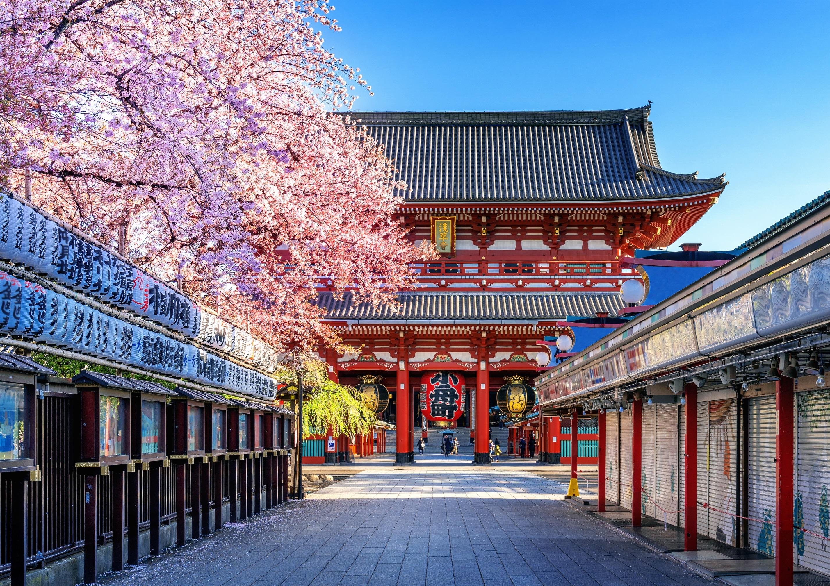 Tokyo Private Car Tour with Hotel Pickup & Drop-off