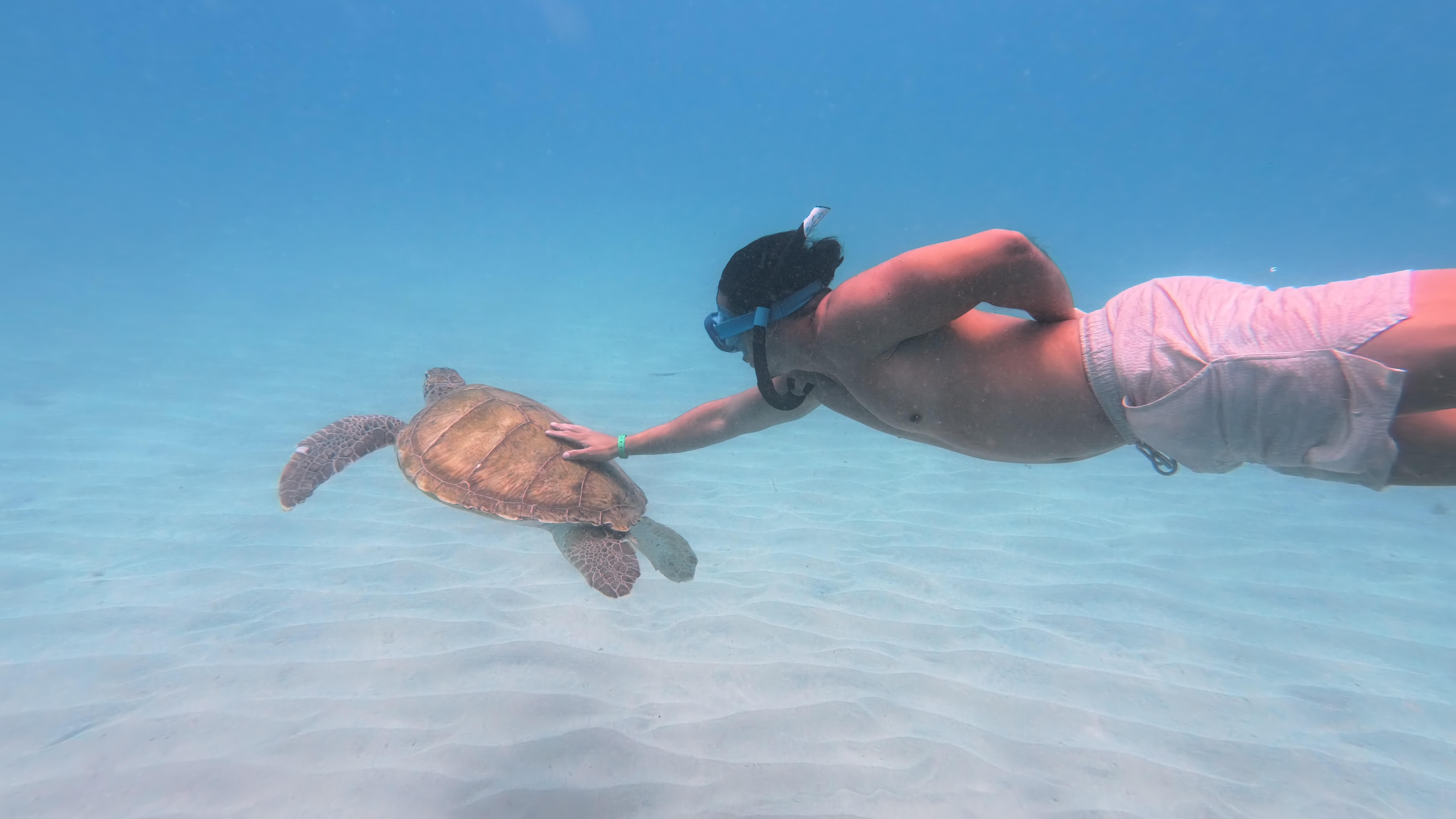 Private Snorkeling Adventure in Sal Island