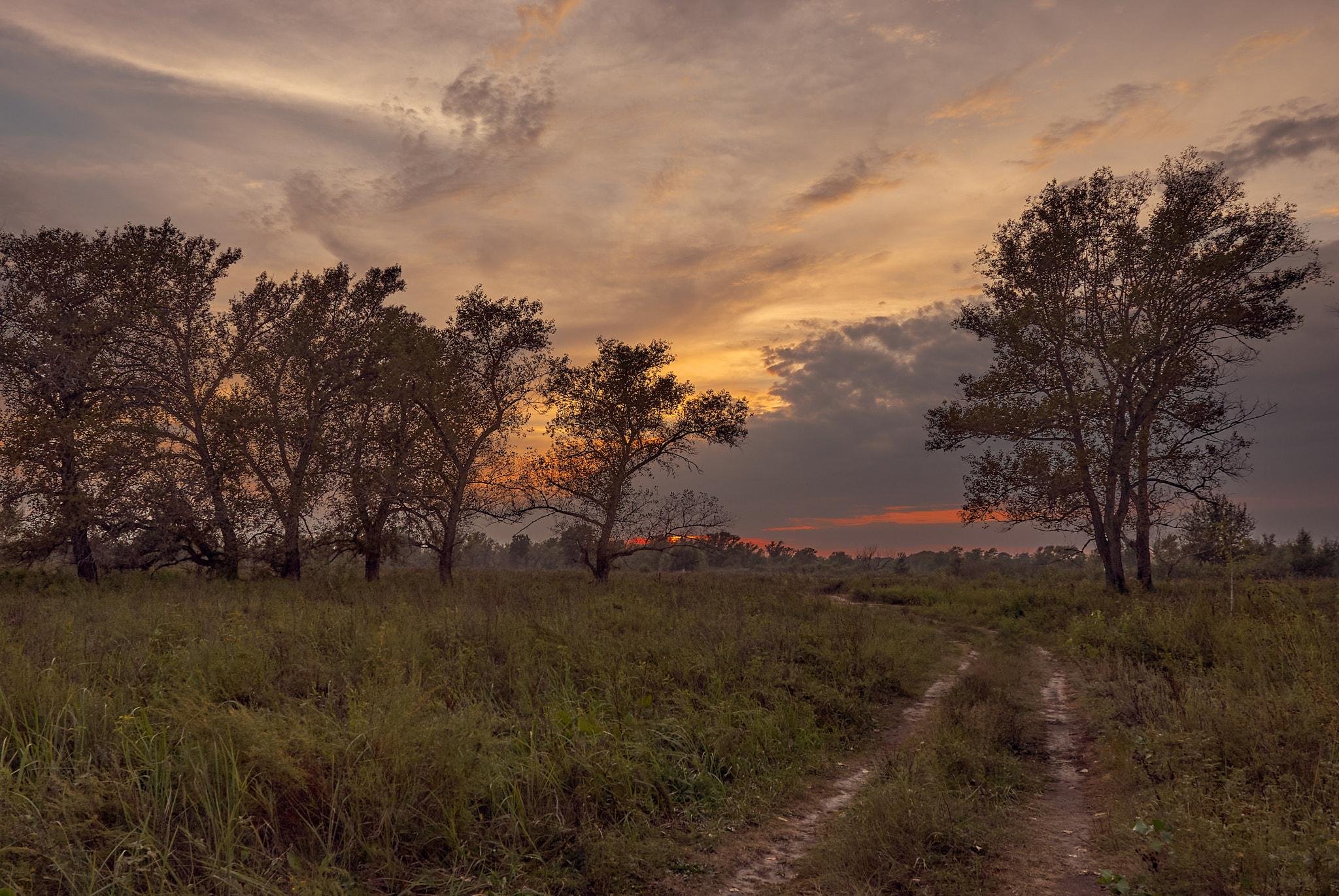 3-Day All-Inclusive Chitwan National Park Safari