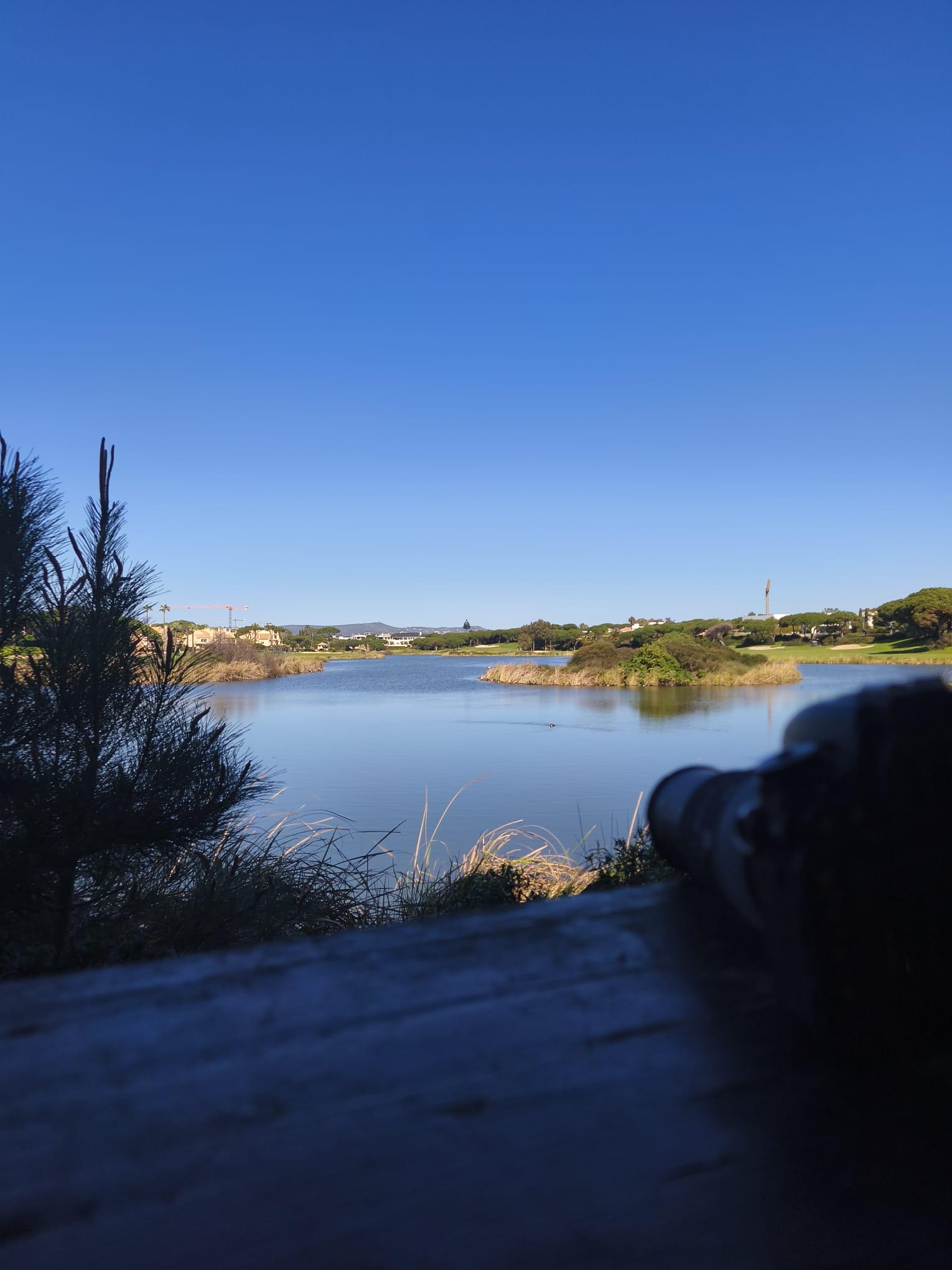 Faro: Ria Formosa Birdwatching Tour with Biologist Guide