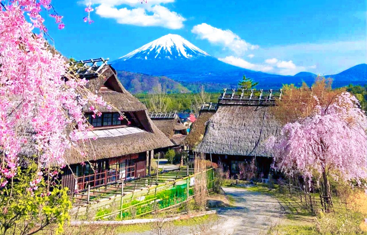 Mt. Fuji Heritage & Culture Day Trip