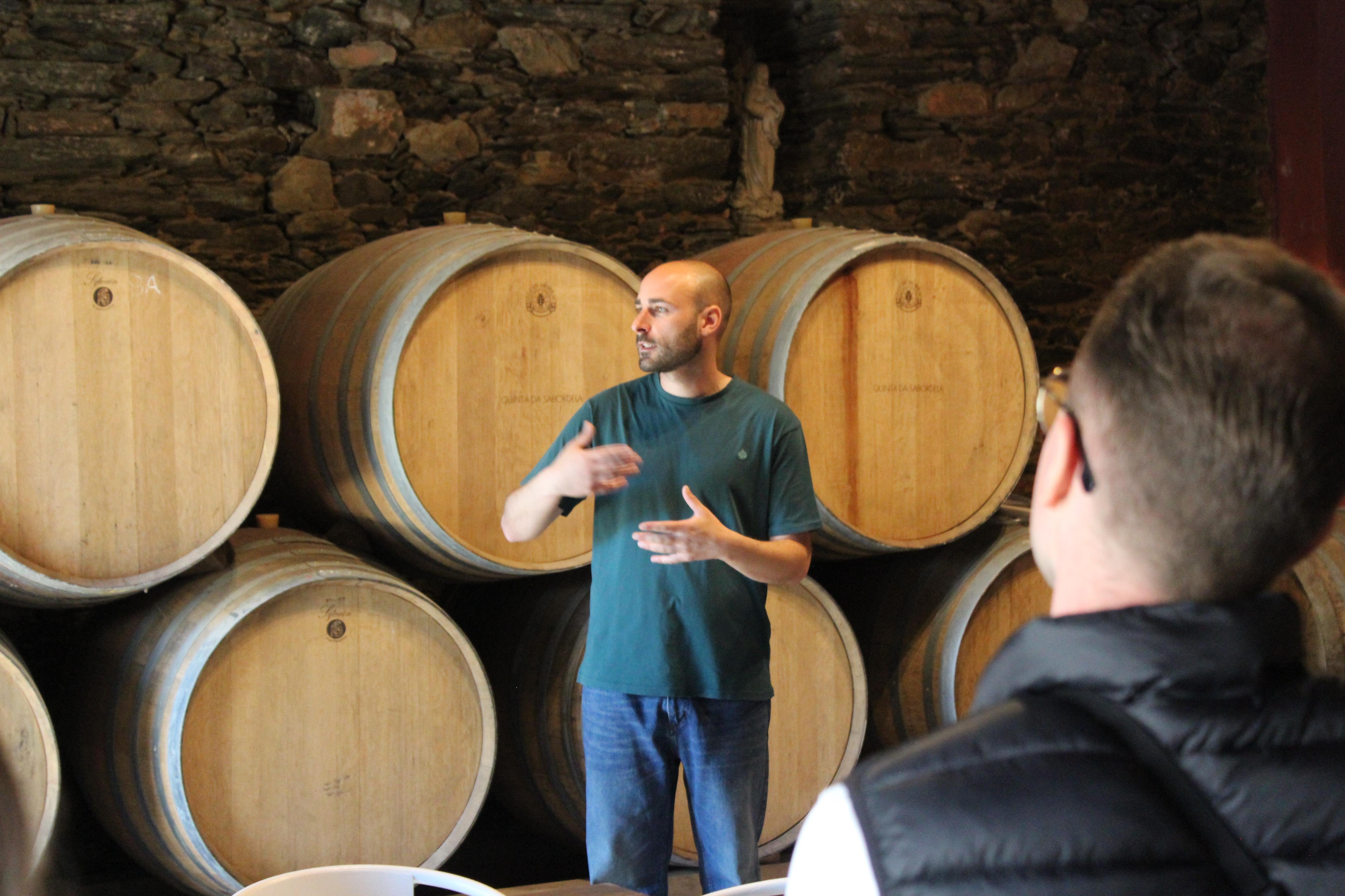 Douro Valley Wine & Cruise Day Trip from Porto