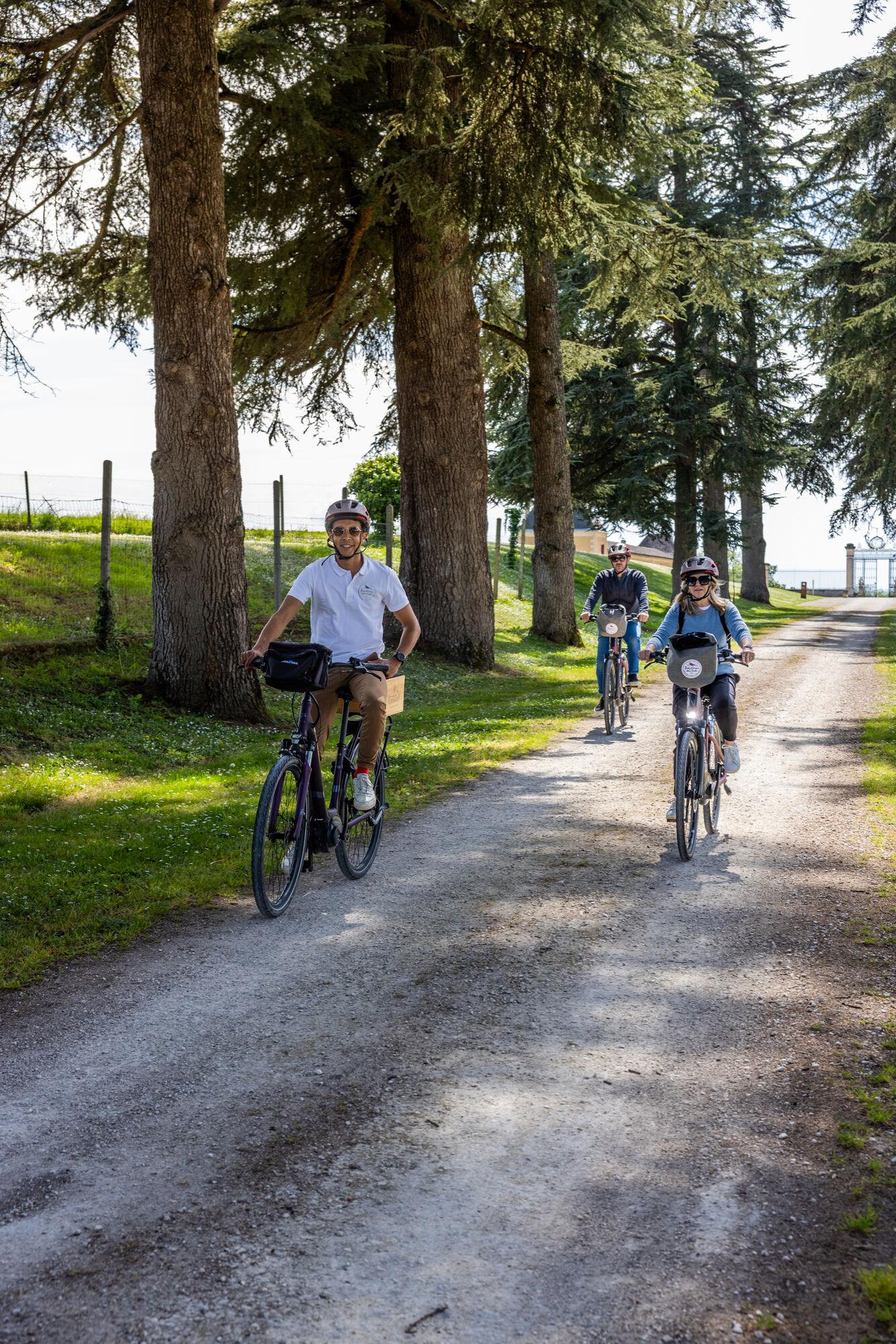 E-Bike Wine Tour Through Saint-Émilion Vineyards