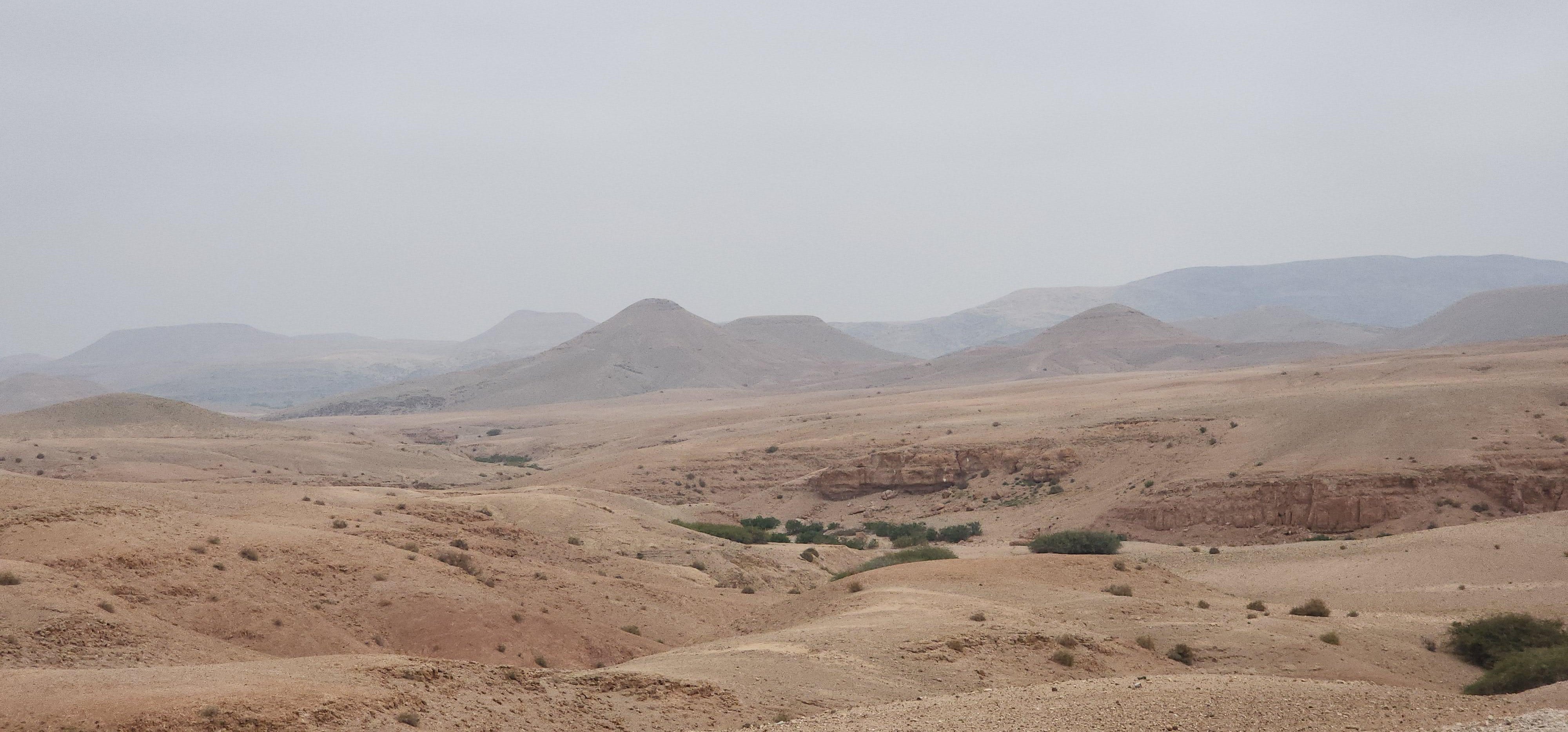 Agafay Desert Day Trip: Quad Biking, Camel Ride, Lunch & Pool