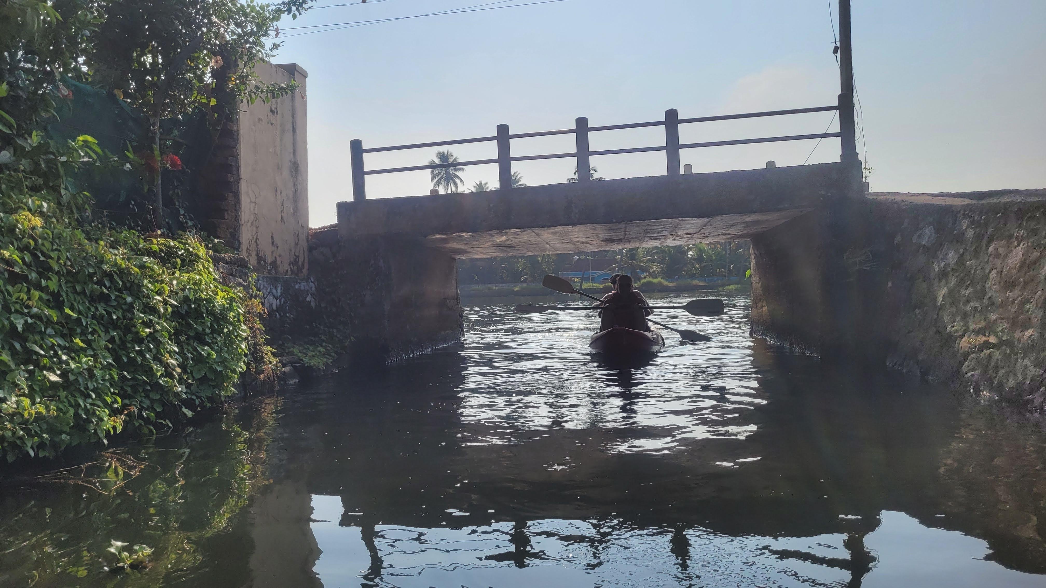 Nedumudy Backwater Village Kayaking Experience