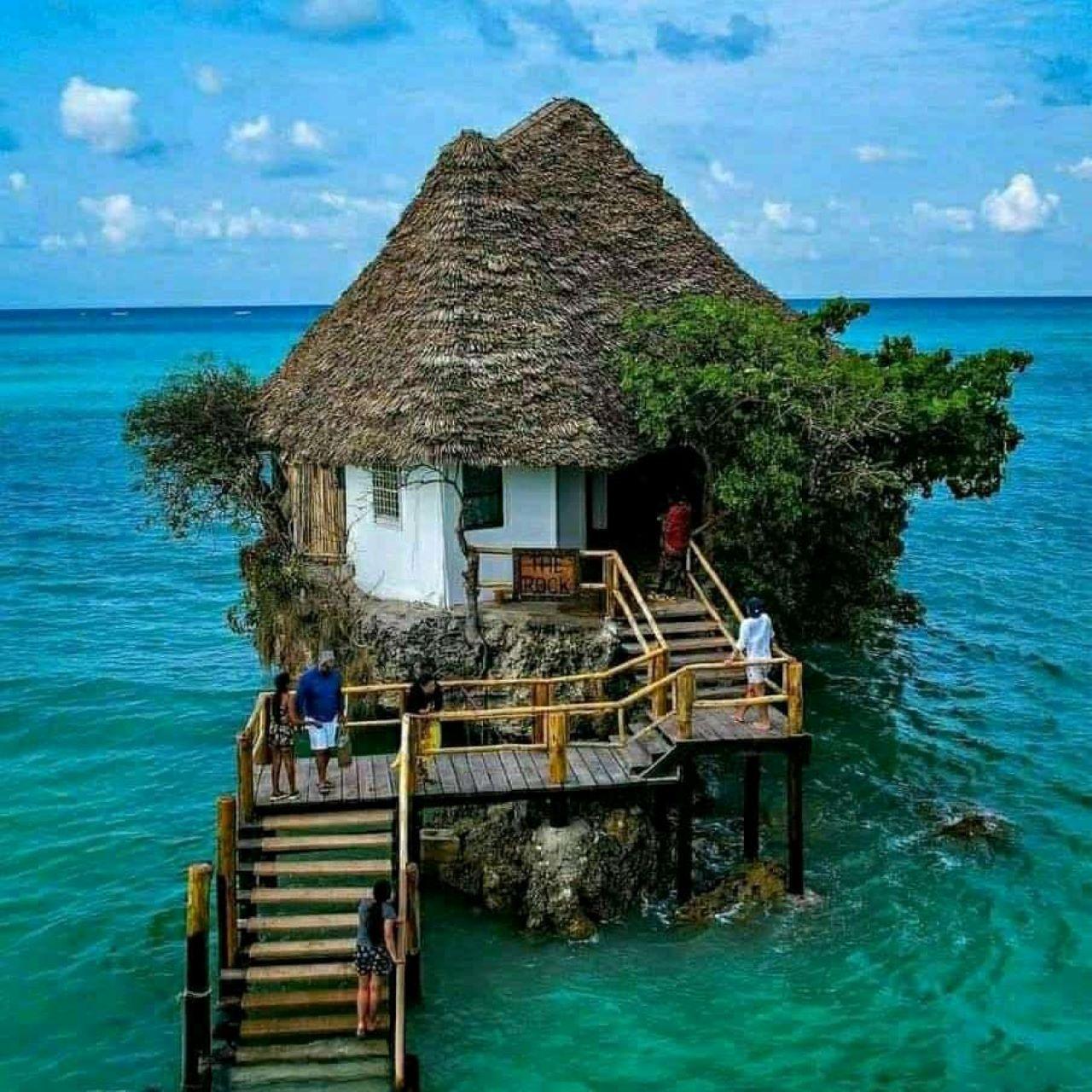 Zanzibar Full-Day Adventure: Caves, Monkeys, Turtles & Paje Beach