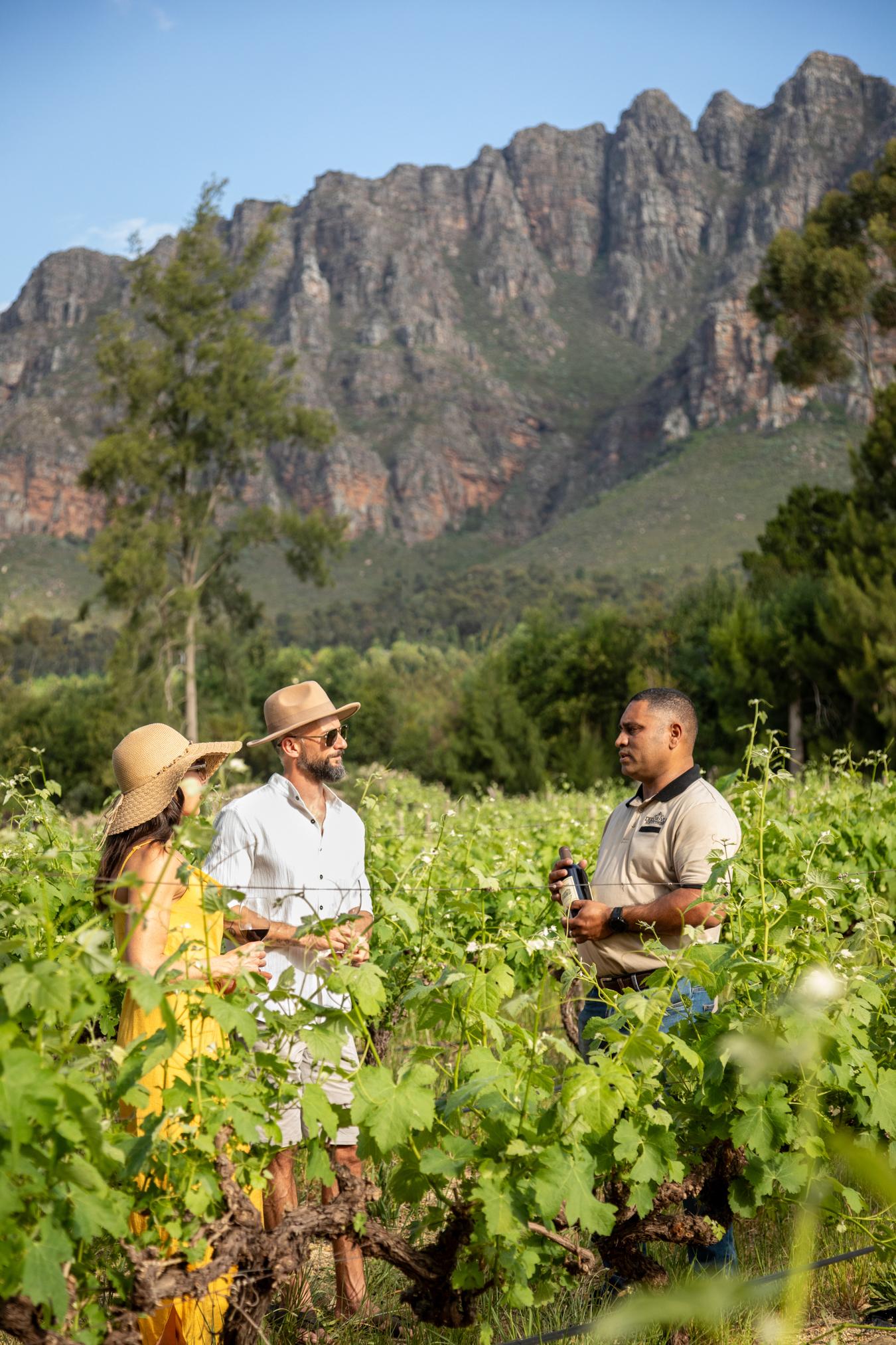 Cape Winelands Full-Day Tour: Stellenbosch, Franschhoek & Paarl