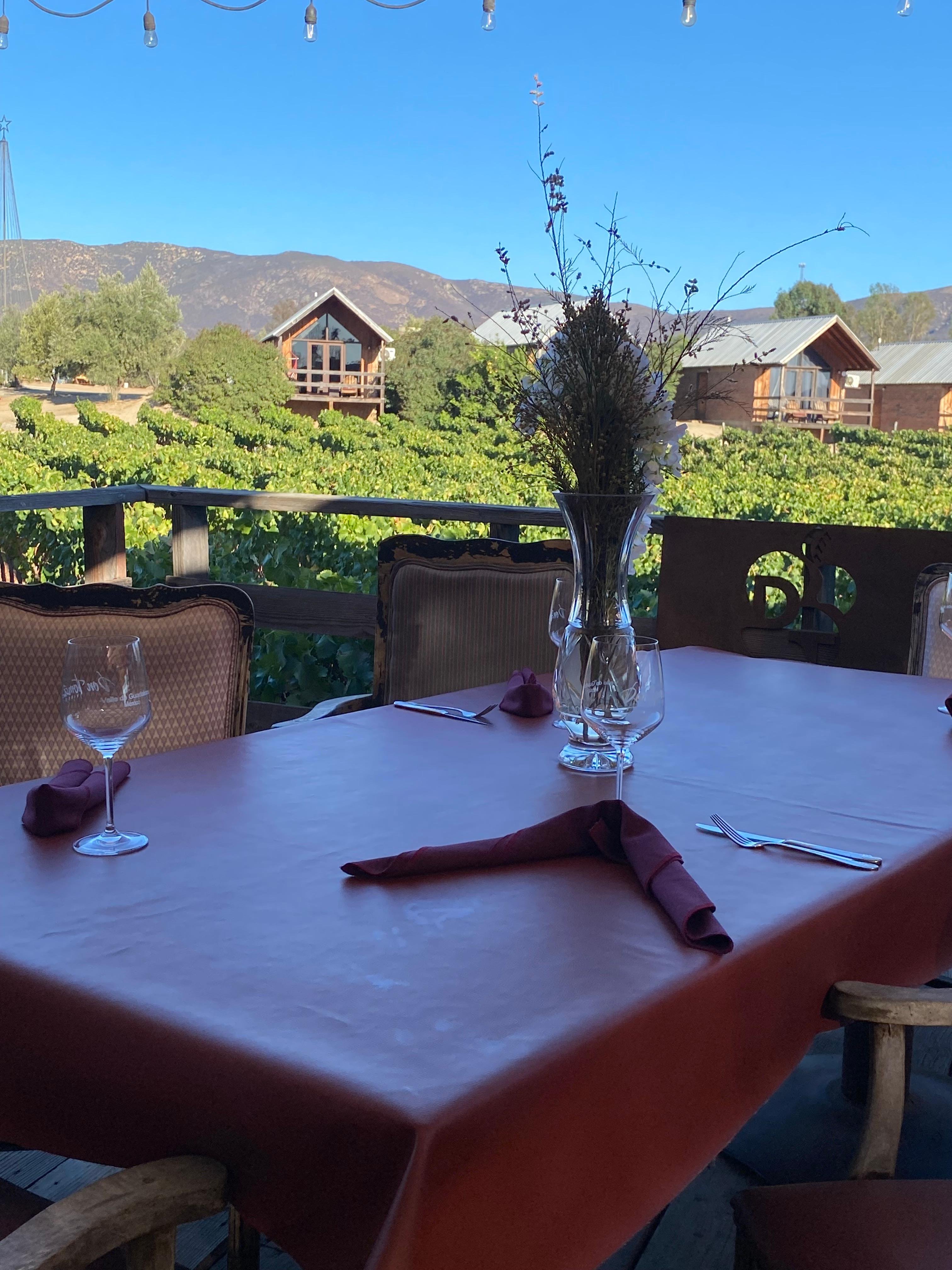 wine tour in Valle de Guadalupe — photo 45